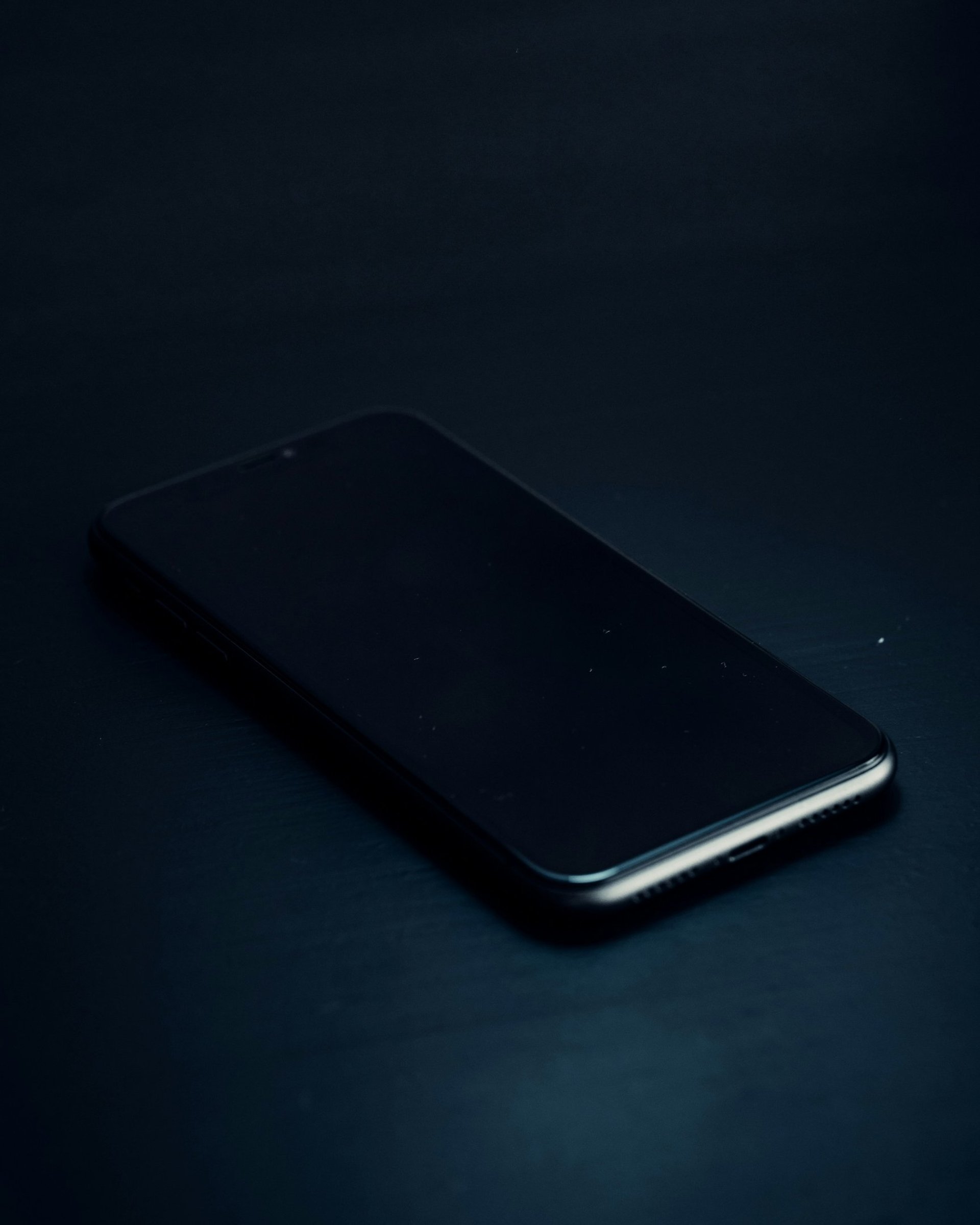 silver iPhone X