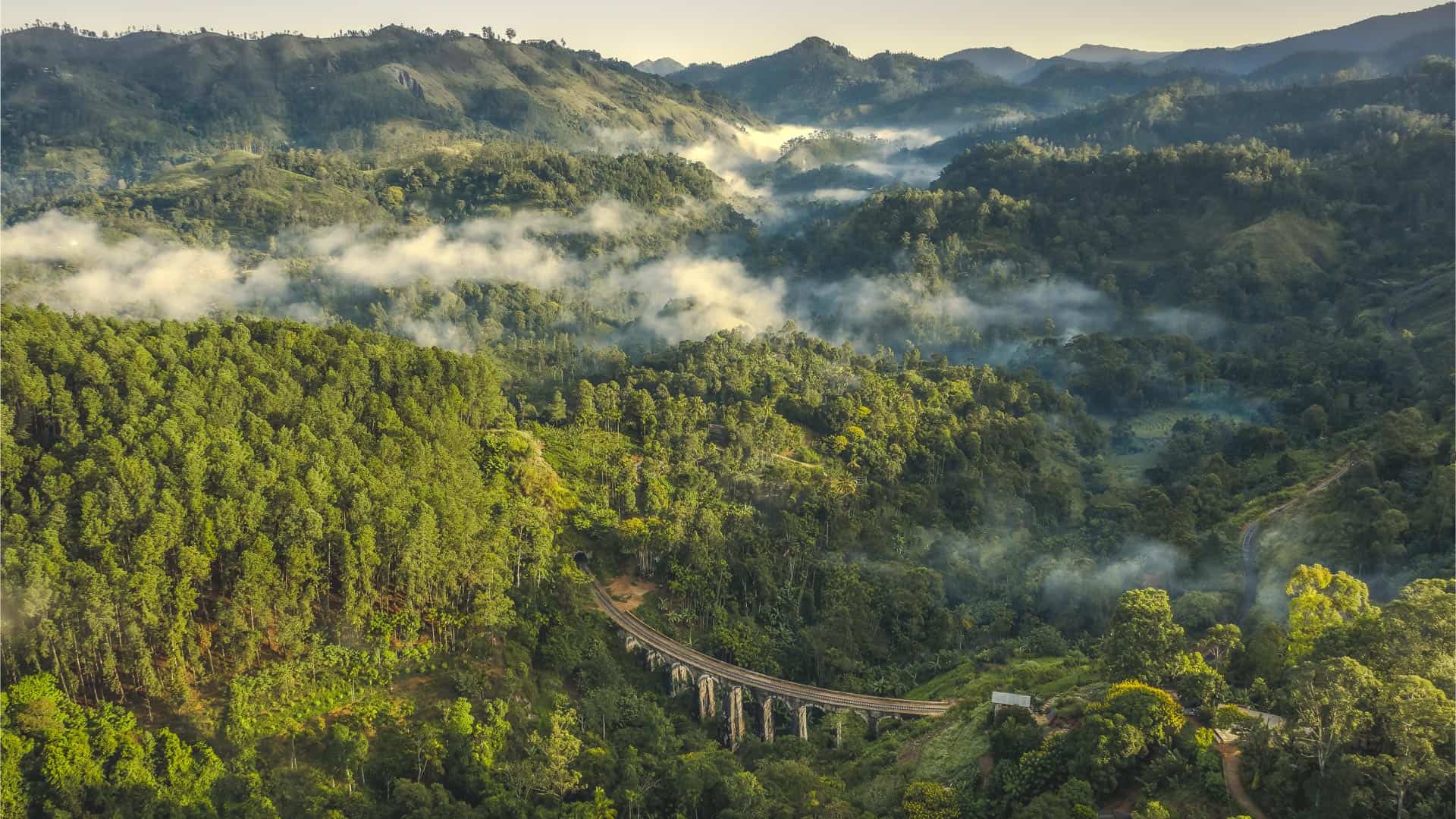 a very tall mountain surrounded by lush green trees
