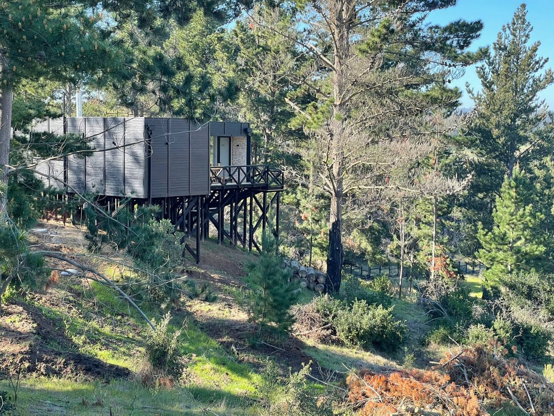 black and white bed linen