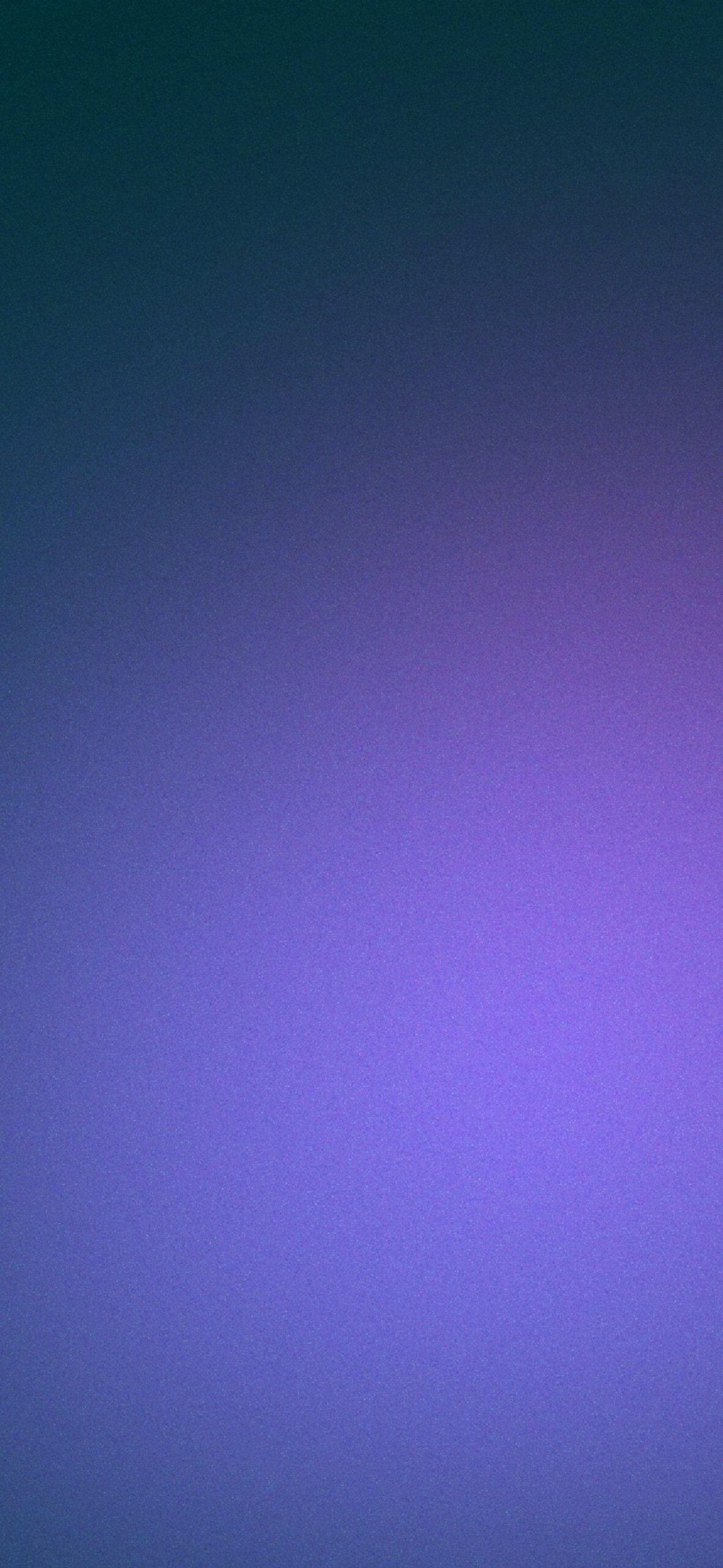 purple and pink light illustration