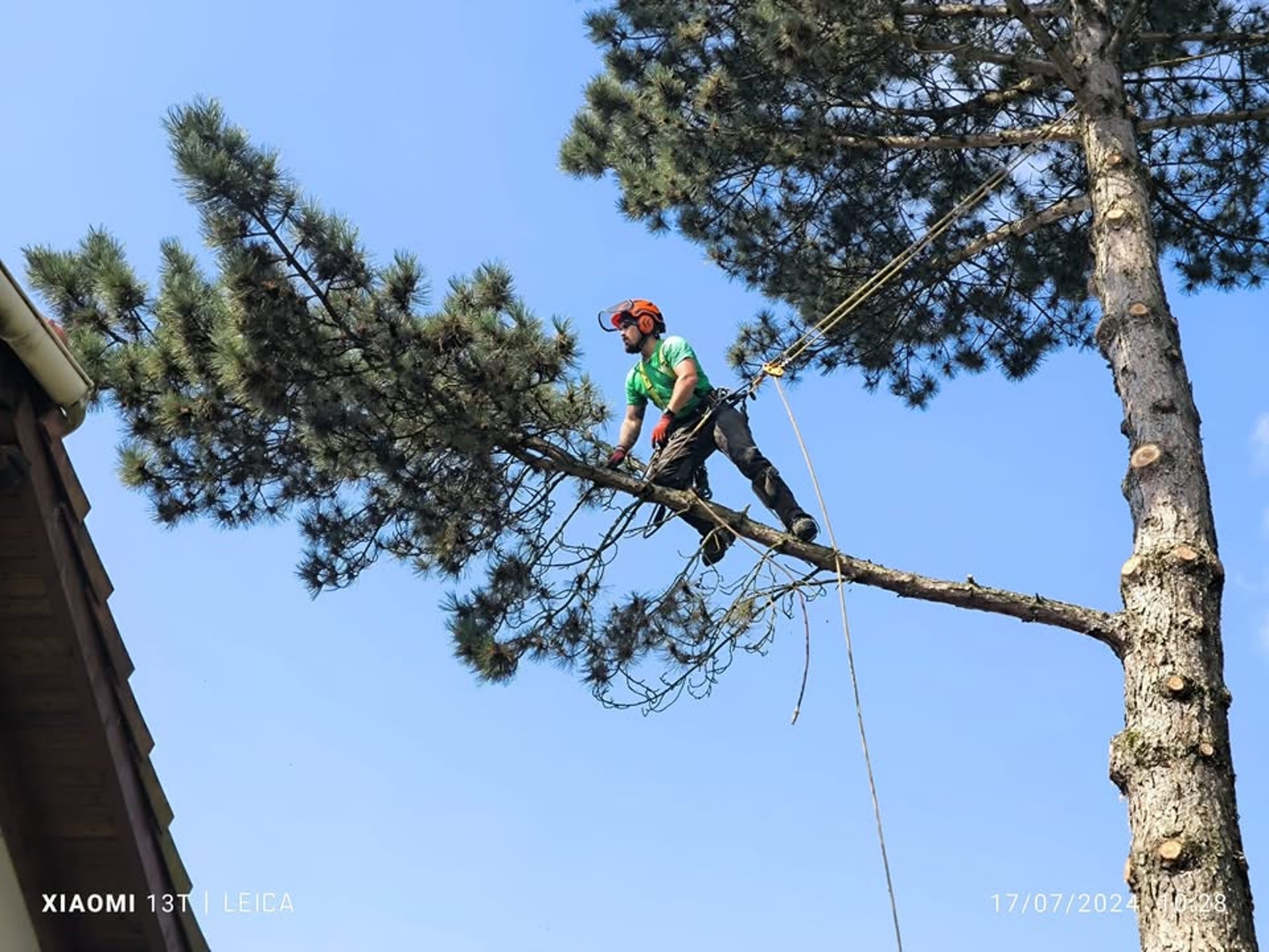 a lush green lawn with white and red flowers