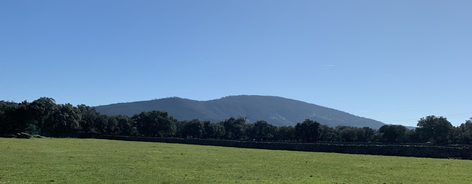 woman wearing yellow long-sleeved dress under white clouds and blue sky during daytime