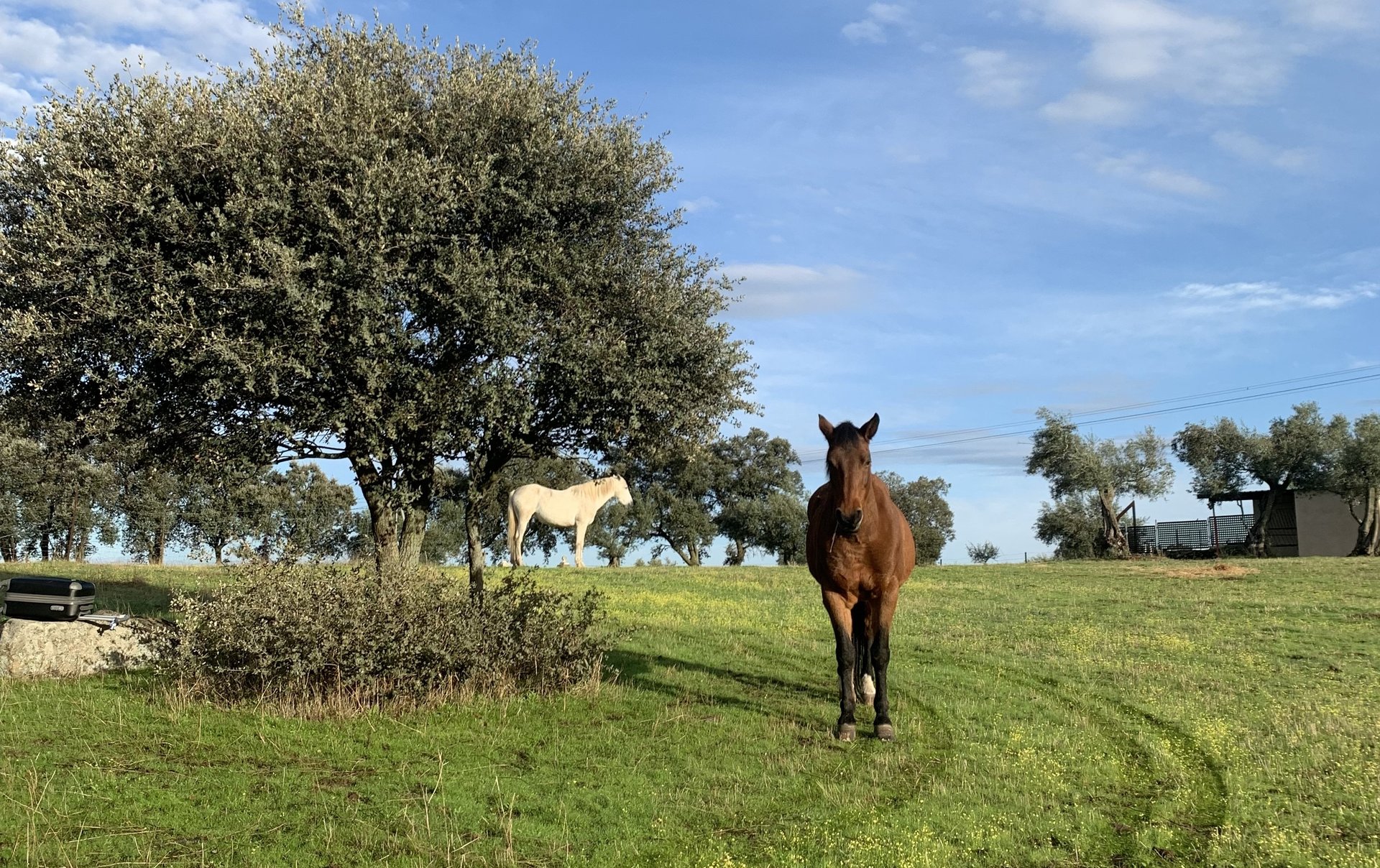 person wearing grey knit sweater