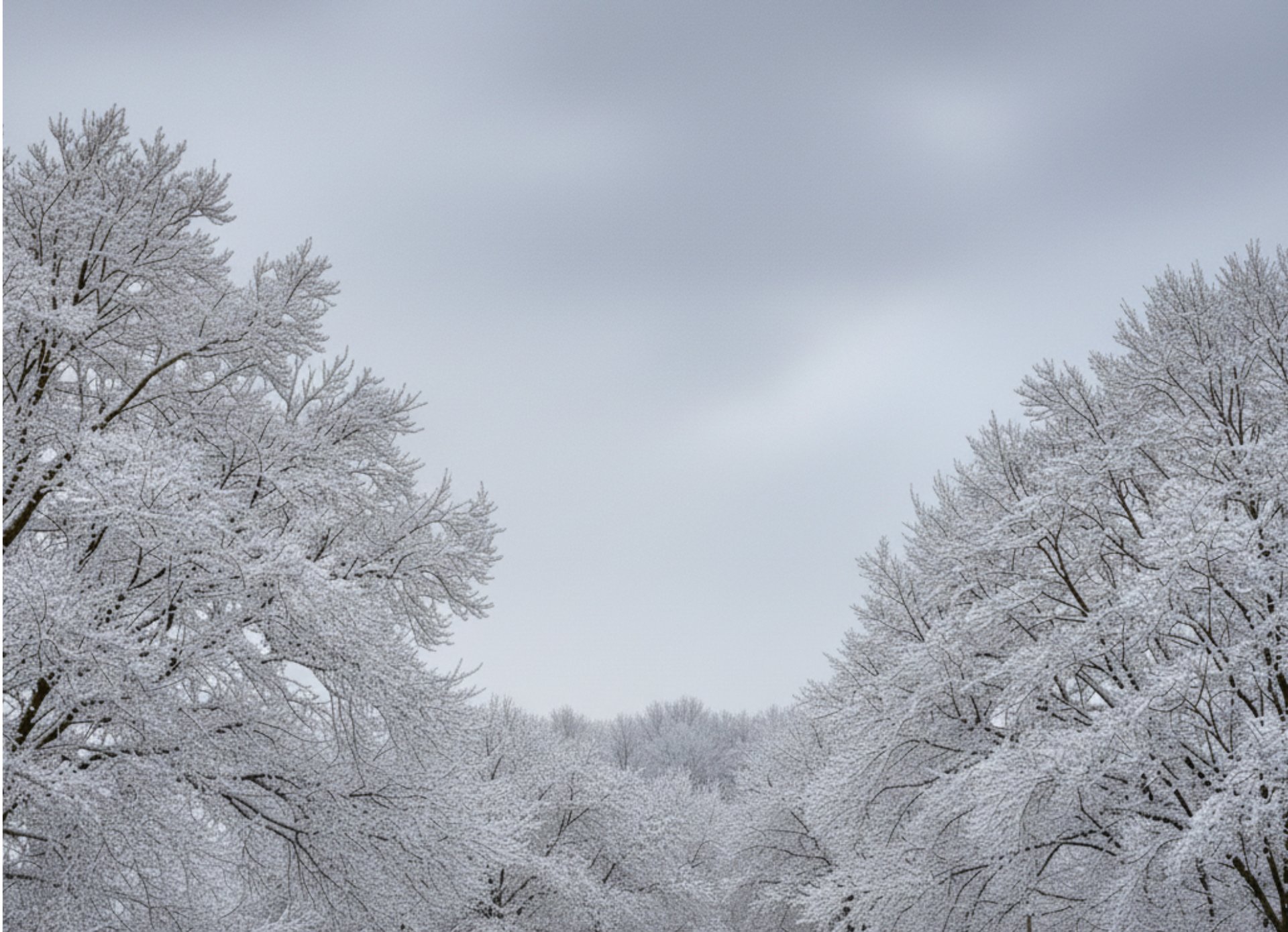 Ramonage nantes reze Vertou Ramoneur poêles a bois et granulés