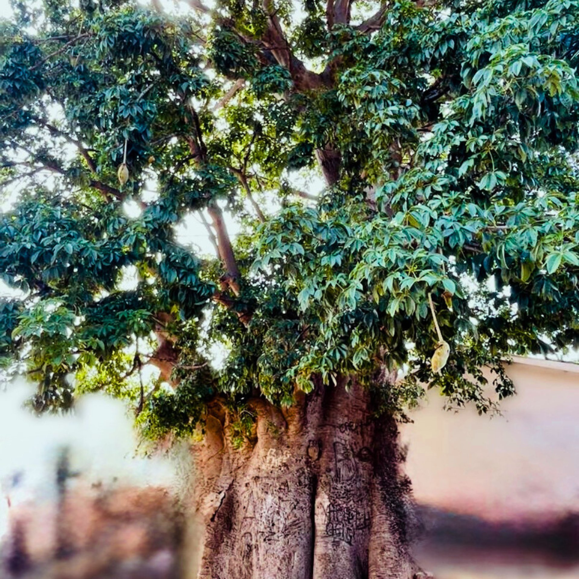 black blue and yellow textile