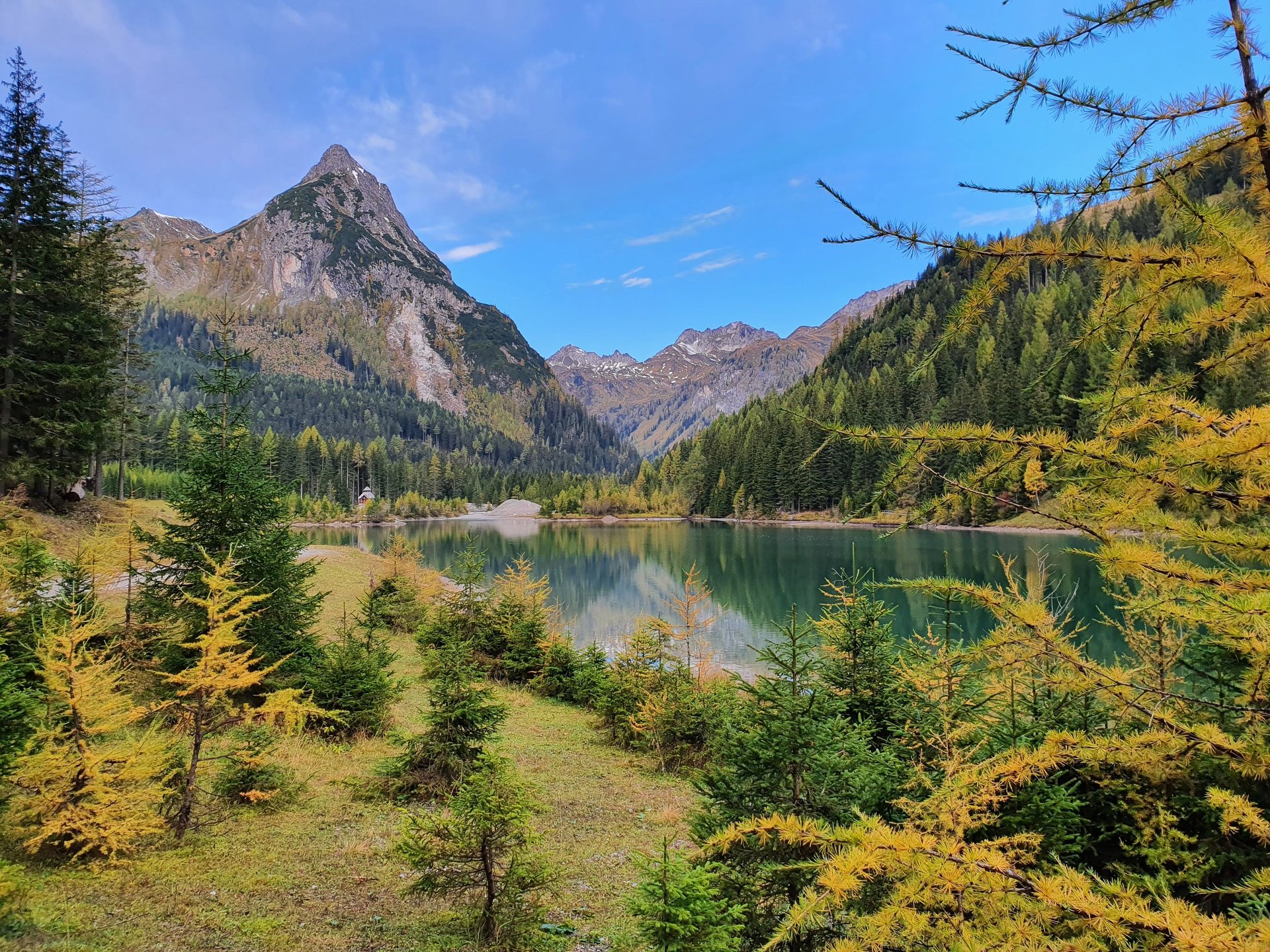 body of water between trees during daytime