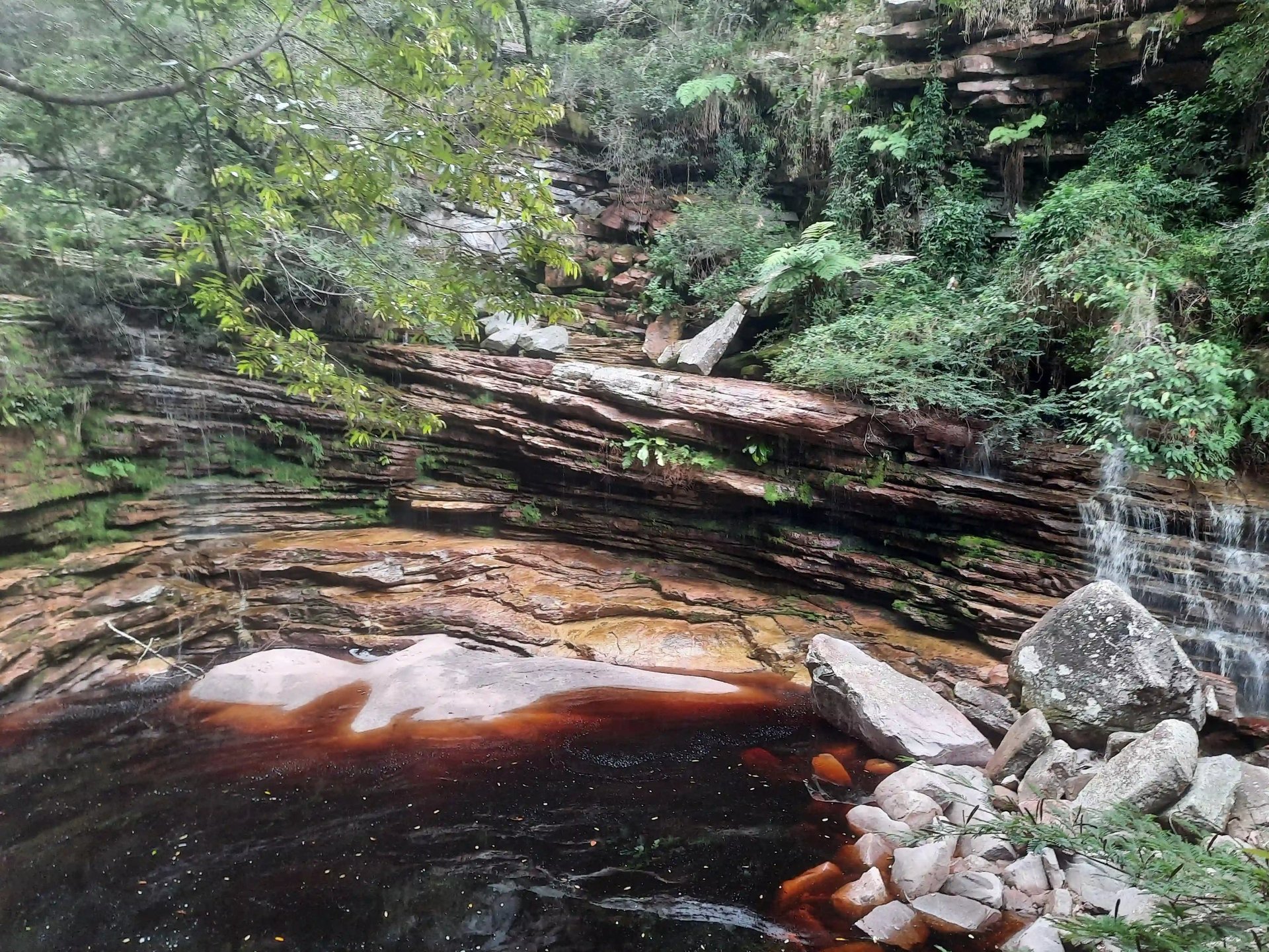 ferradura durante a seca