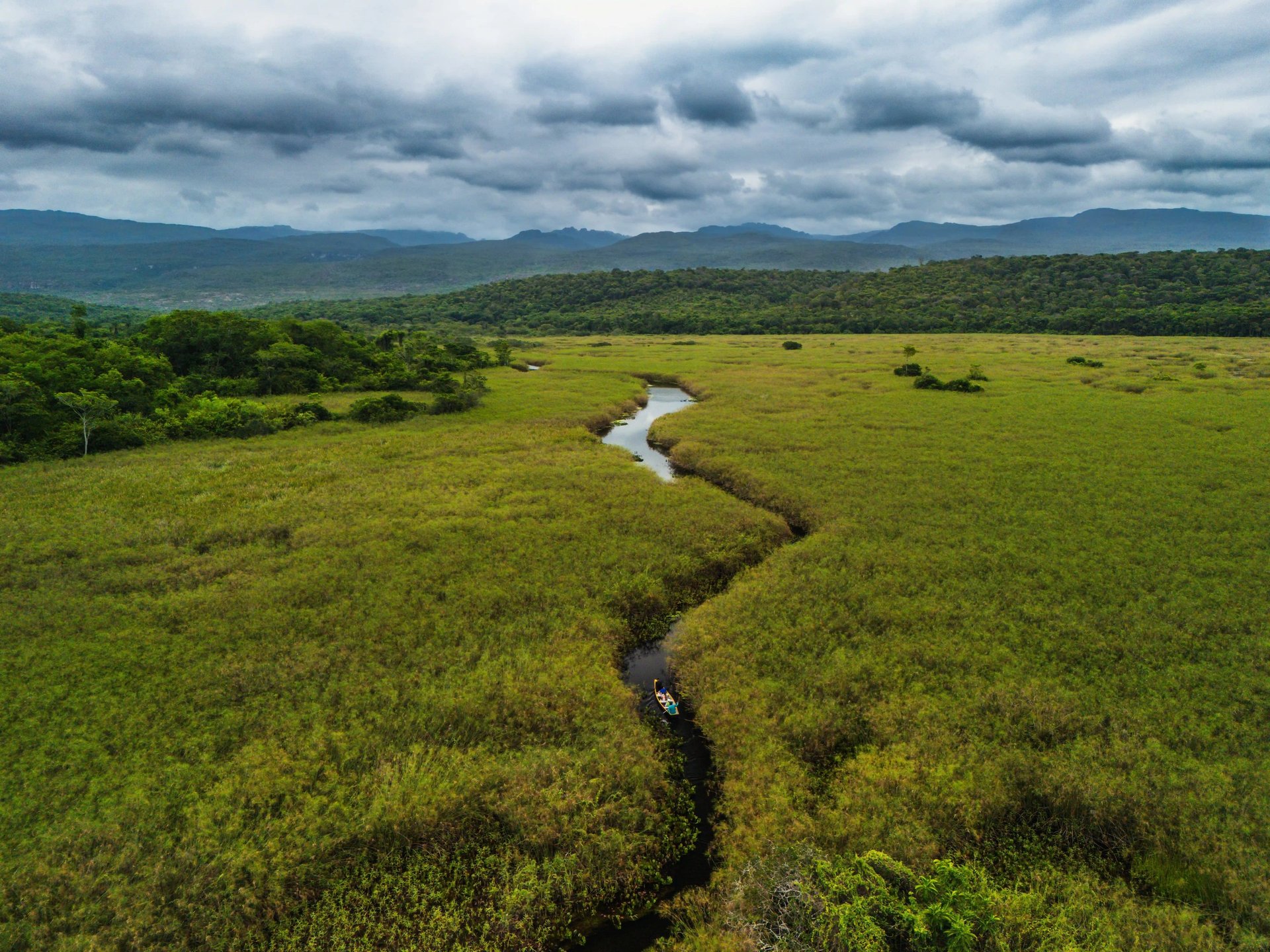 mini pantanal marimbus drone vista
