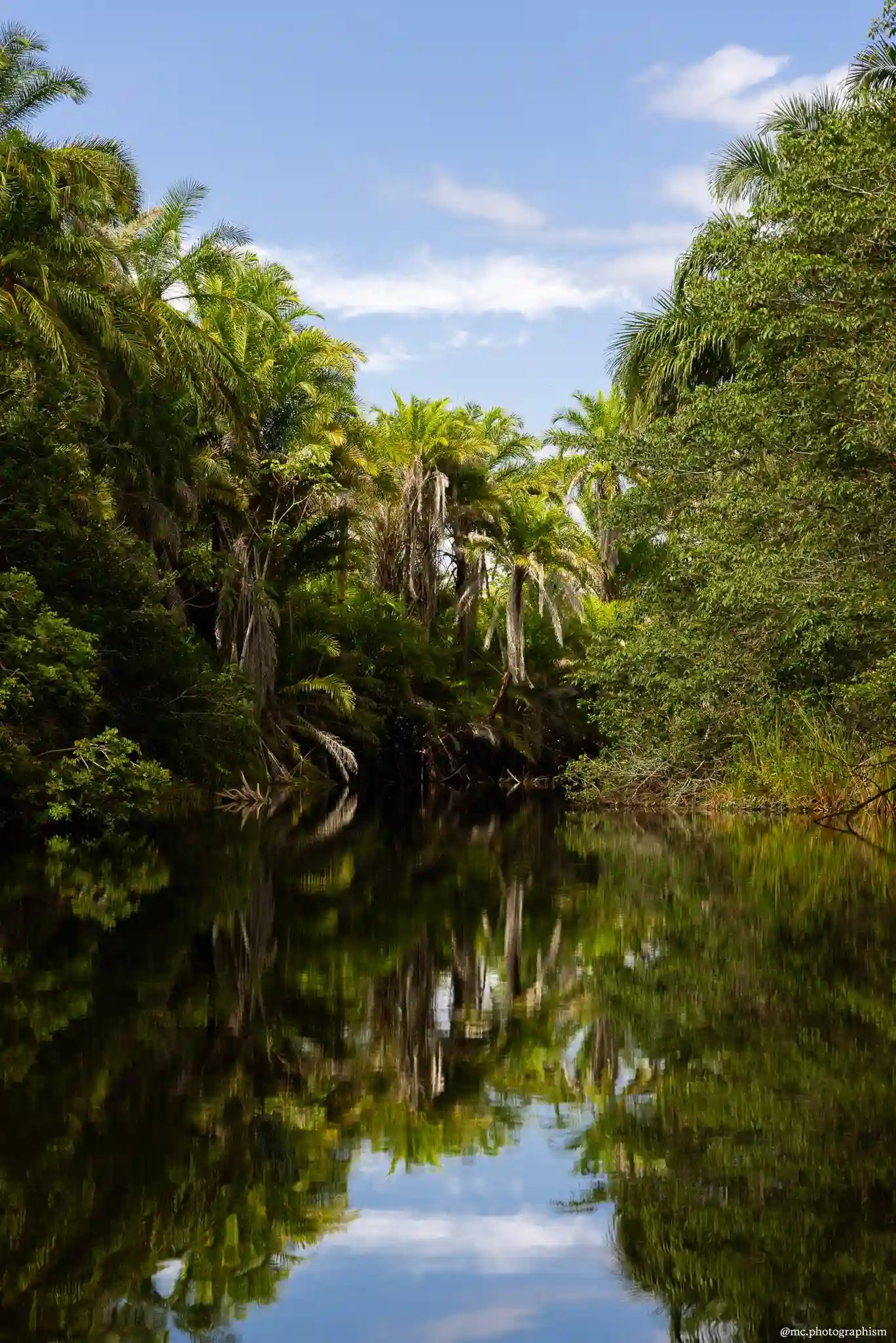 paisagem