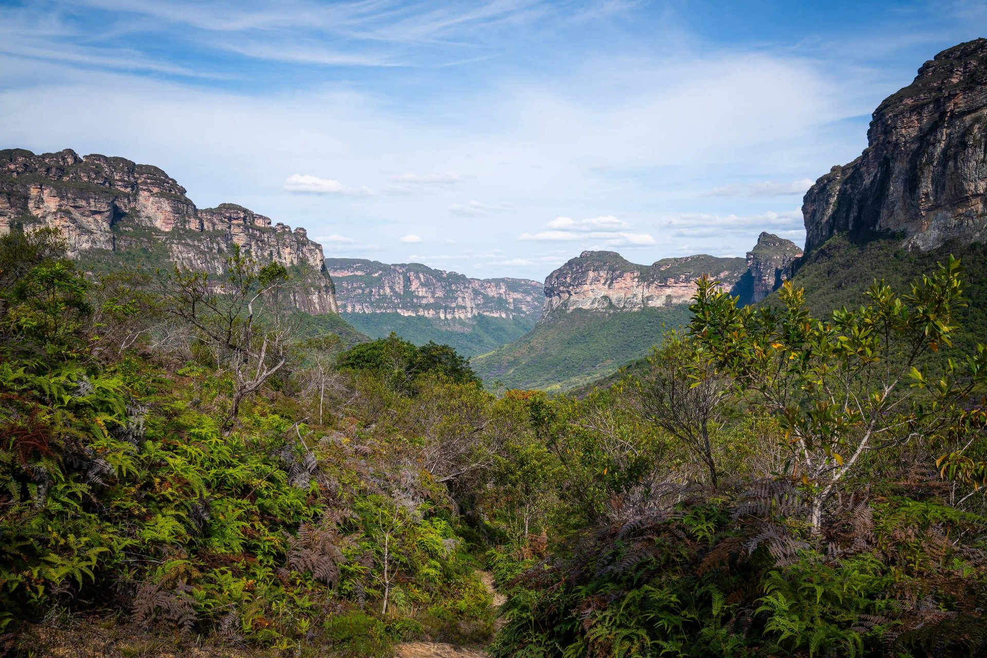 paisagem incrivel vale do pati