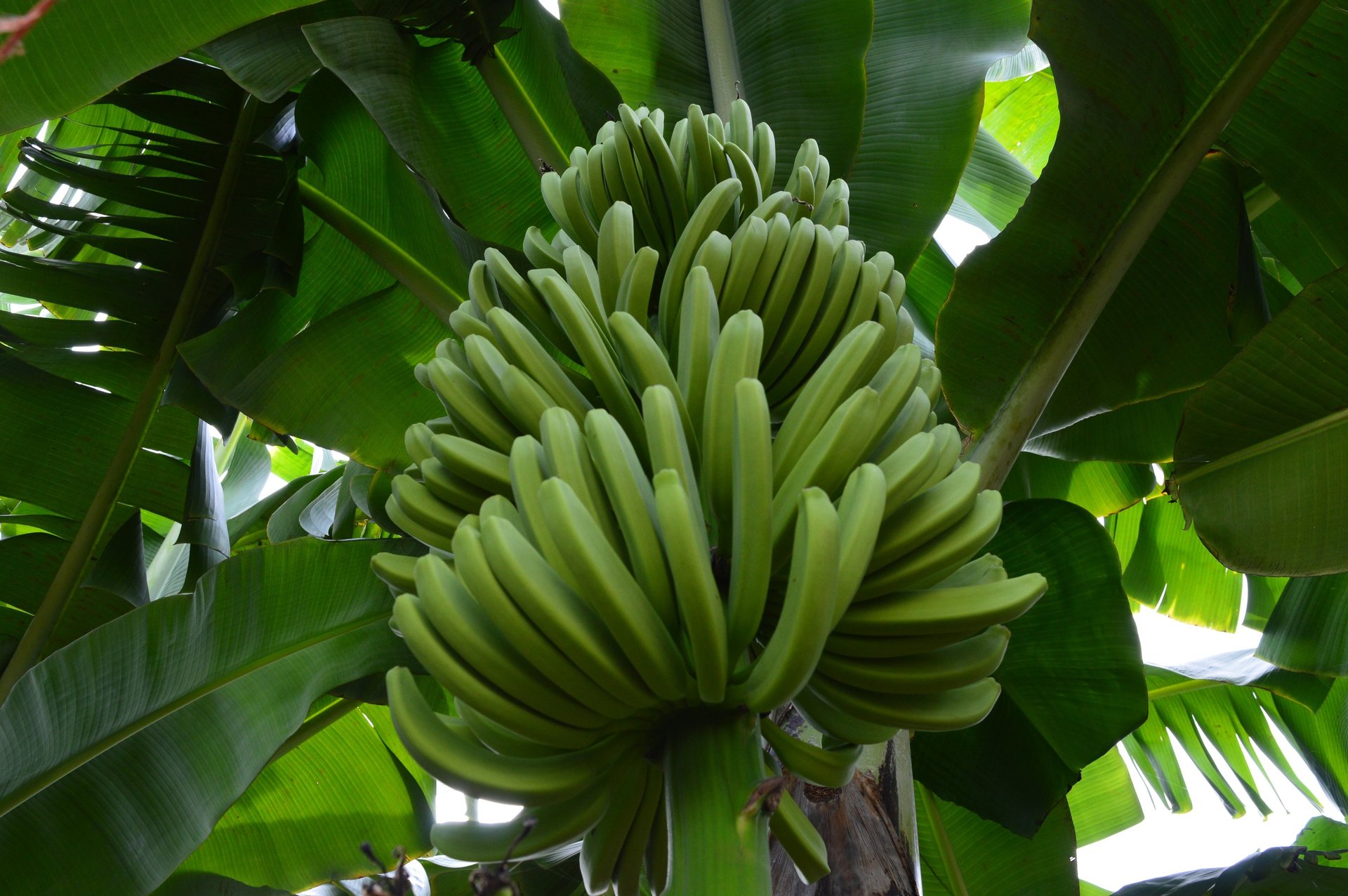 an abstract photo of a curved building with a blue sky in the background