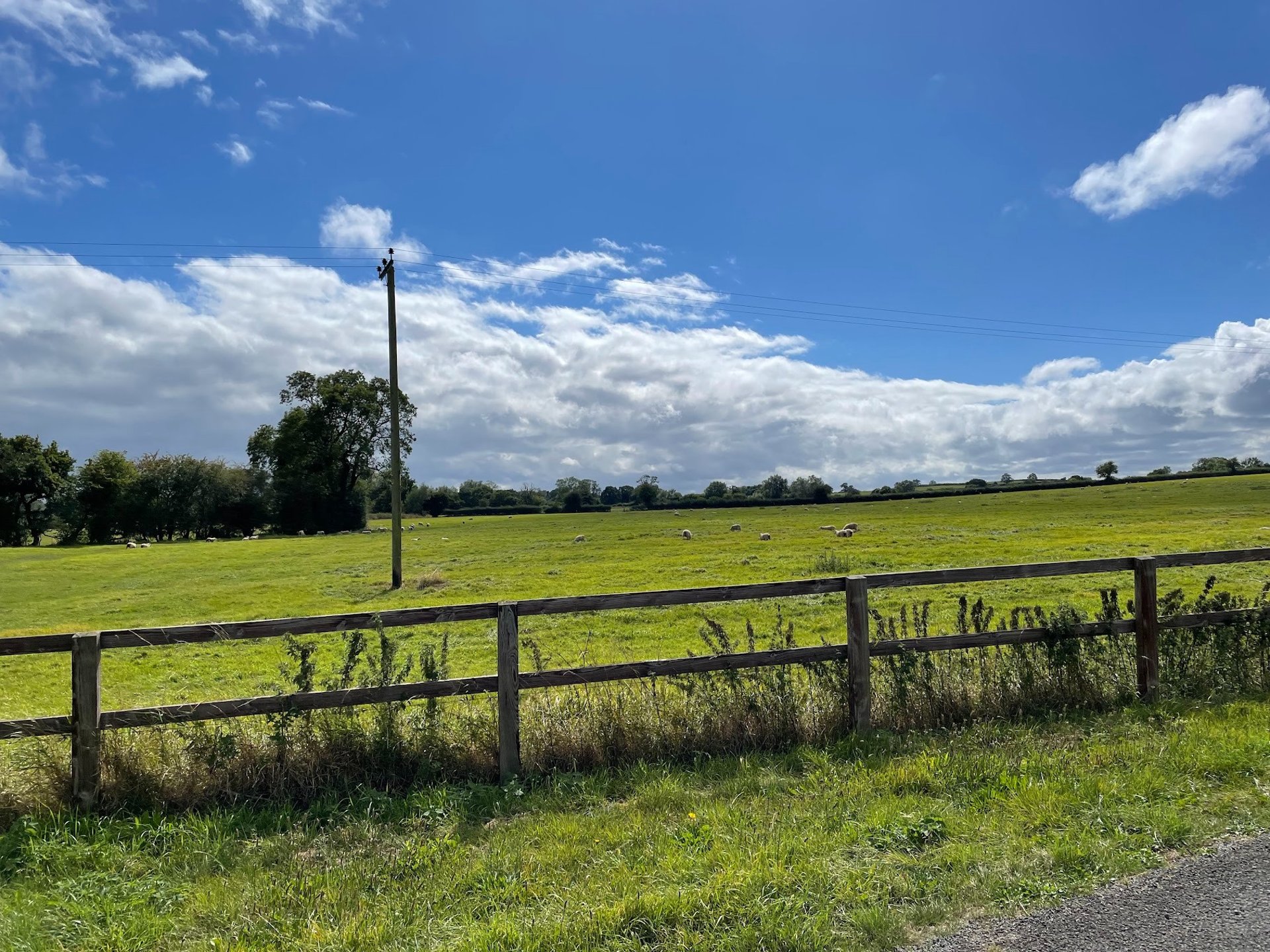 a grassy field with trees in the background