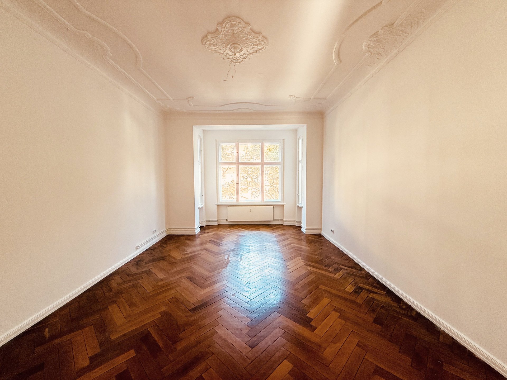 red rose with green leaves