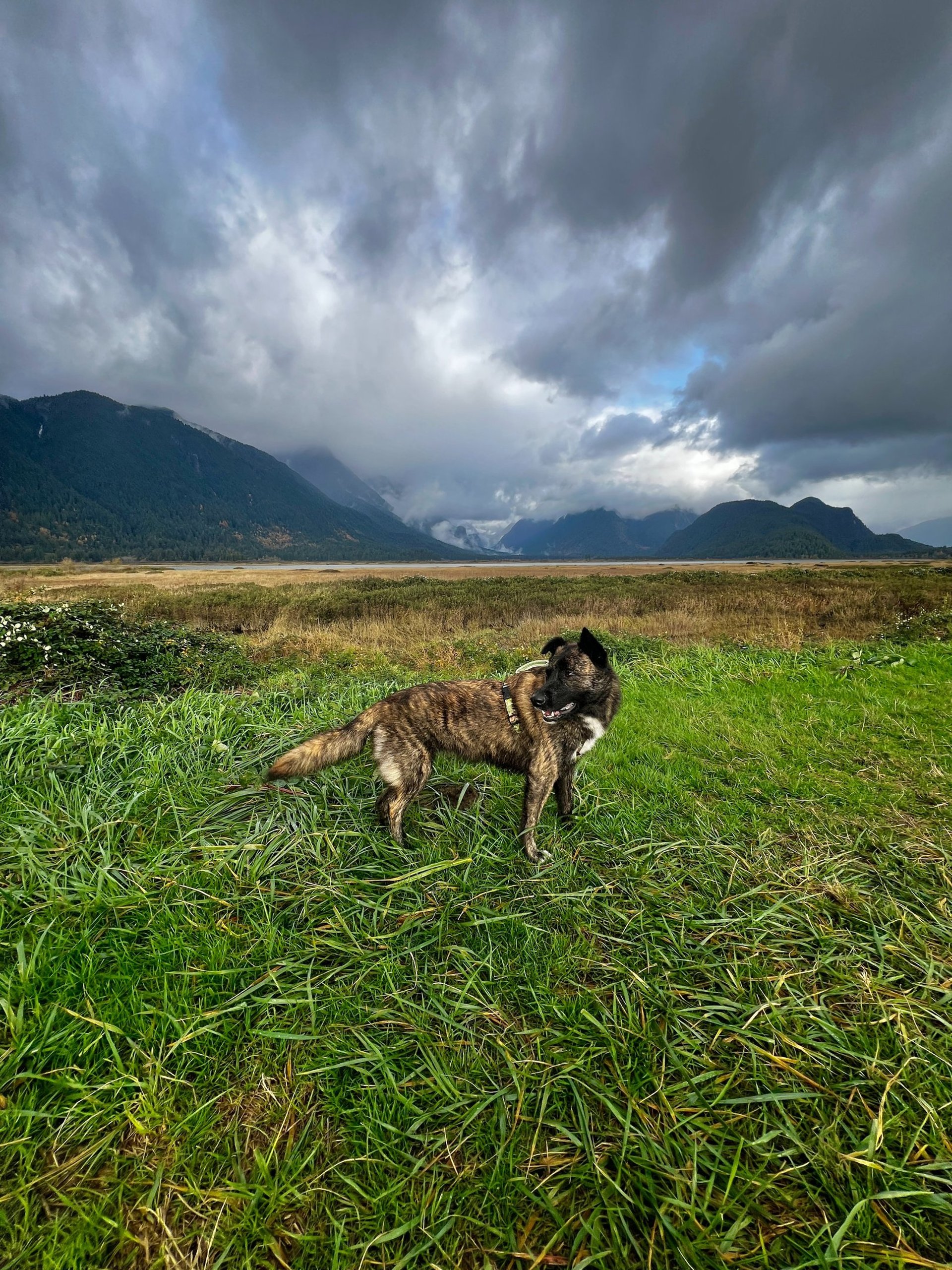 an abstract photo of a curved building with a blue sky in the background
