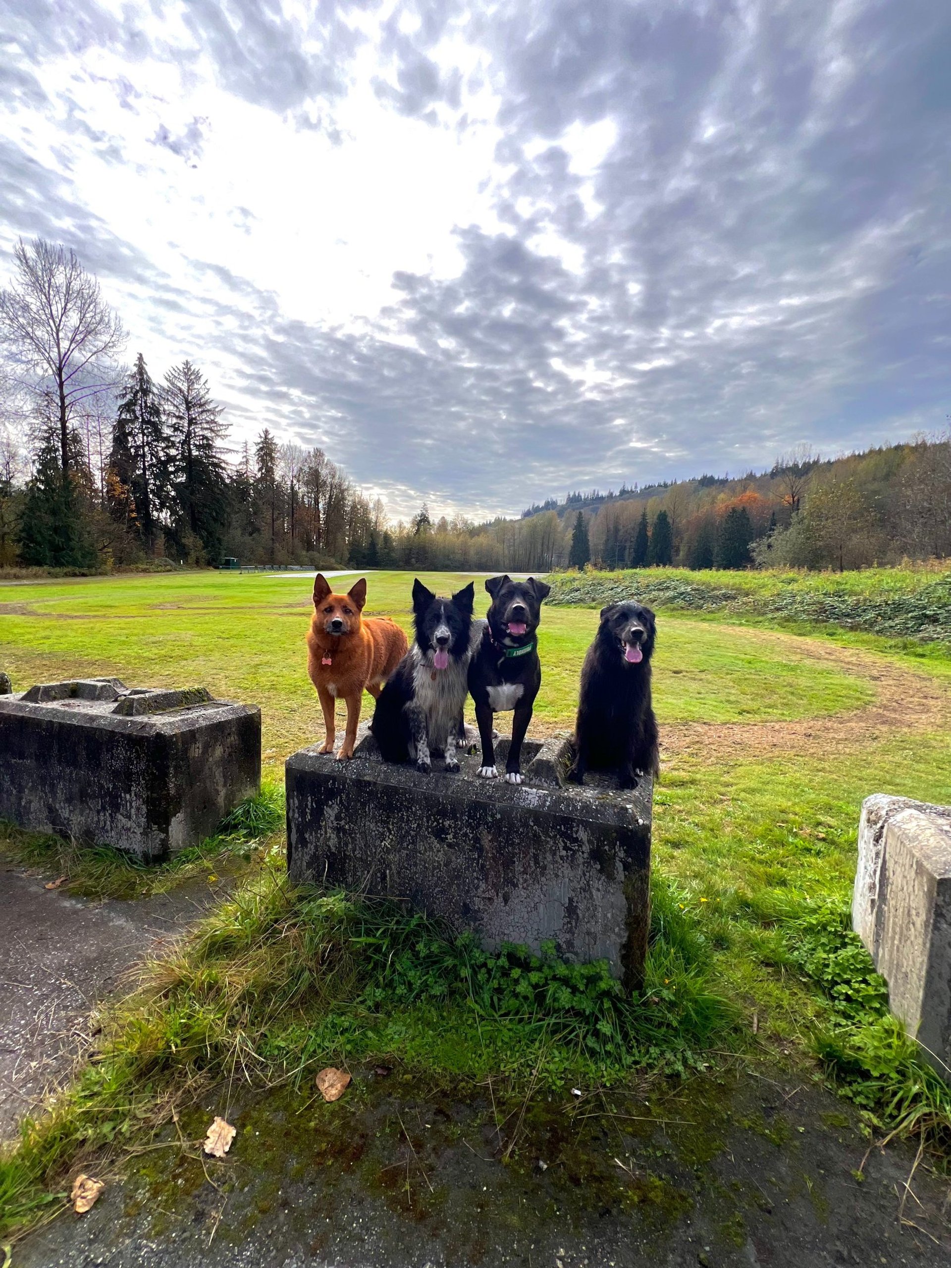 an abstract photo of a curved building with a blue sky in the background