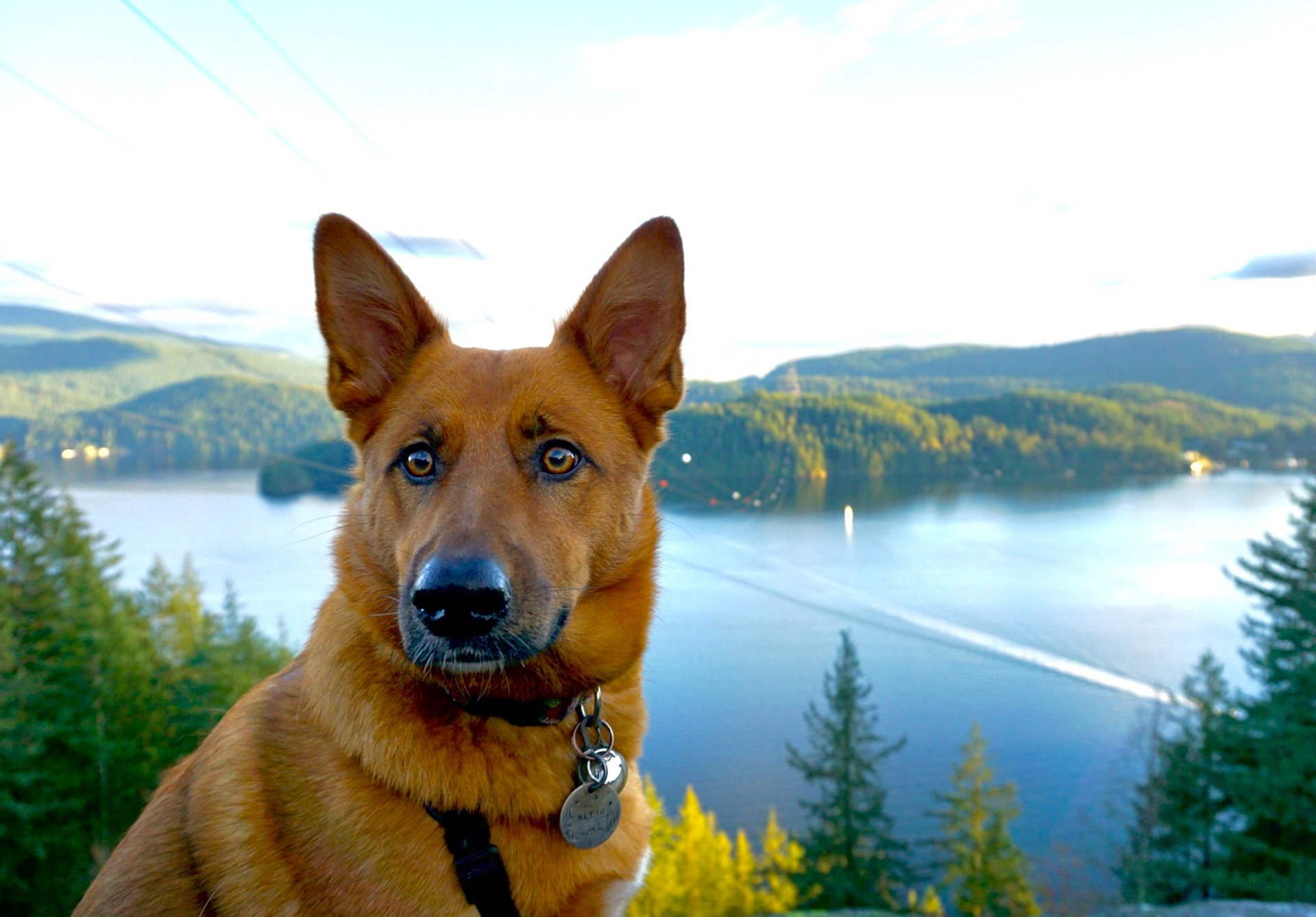 woman wearing yellow long-sleeved dress under white clouds and blue sky during daytime
