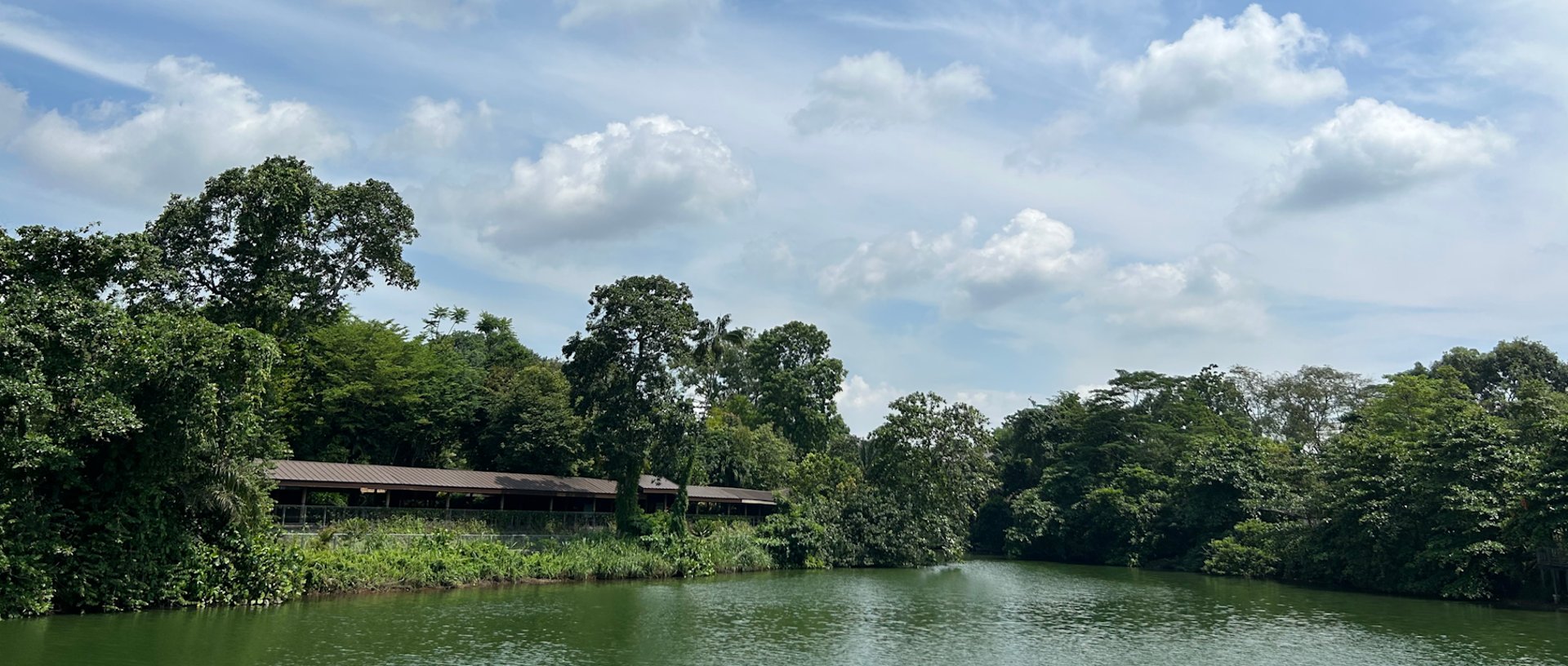 green island in the middle of body of water