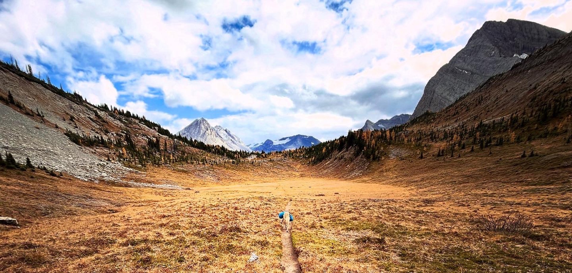 black blue and yellow textile