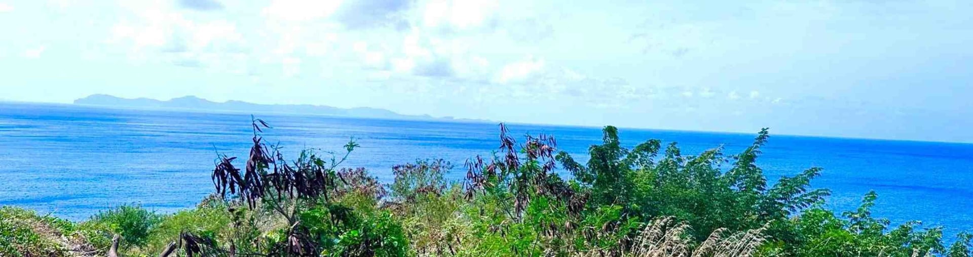 an abstract photo of a curved building with a blue sky in the background