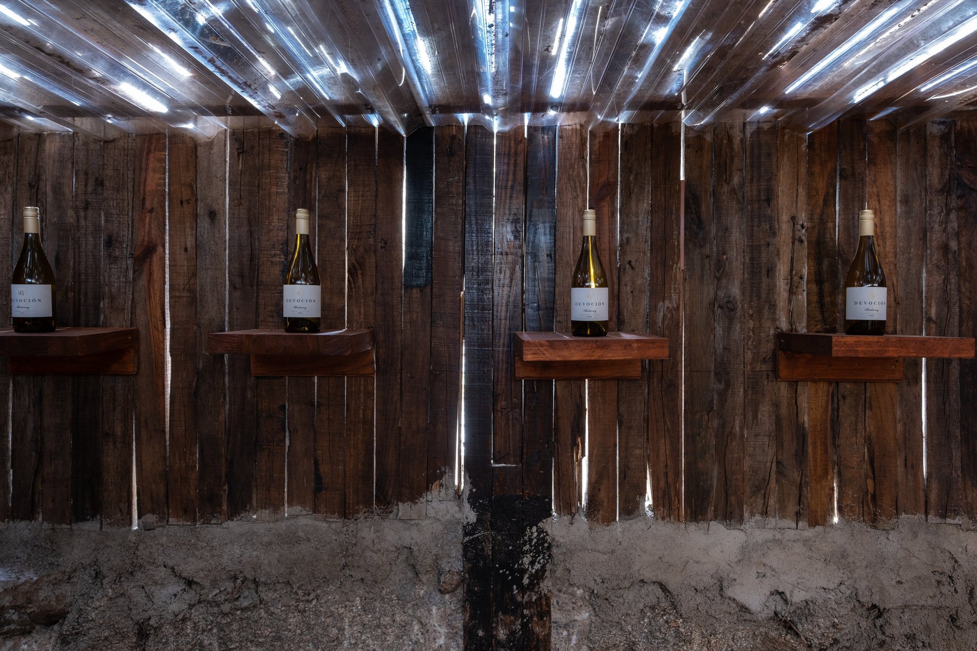 an abstract photo of a curved building with a blue sky in the background