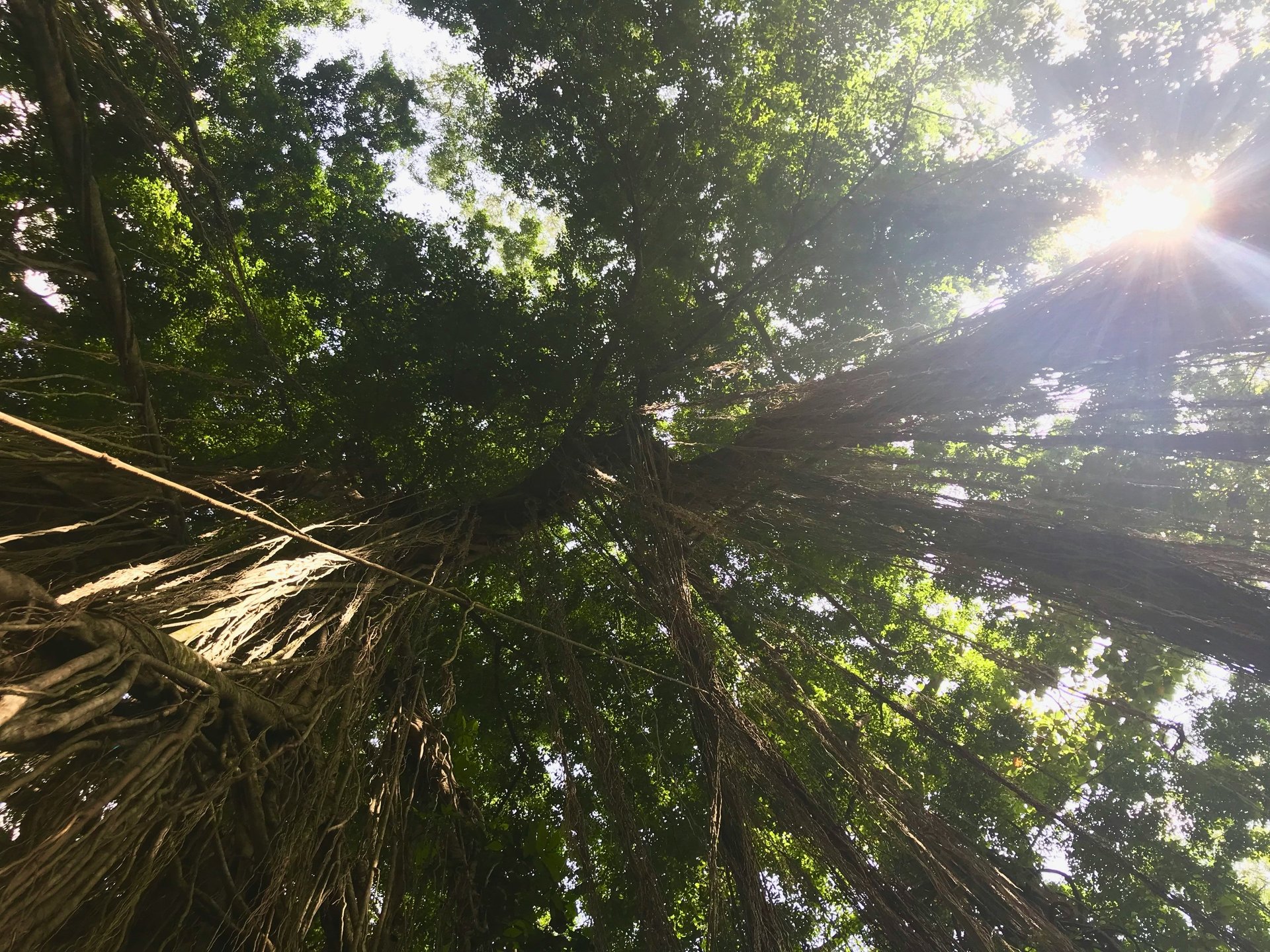 Trauma-informed embodied awareness