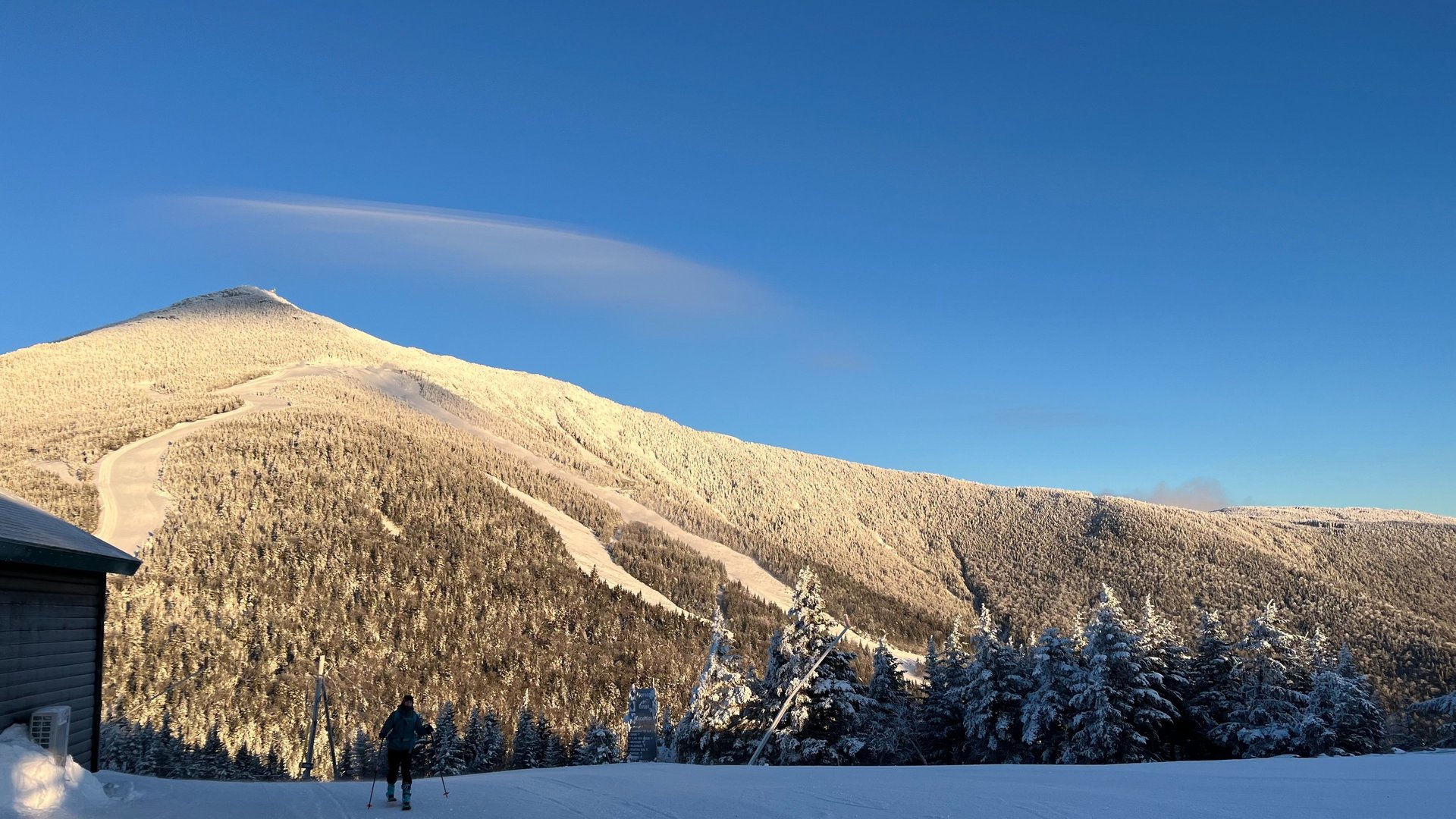 gray computer monitor