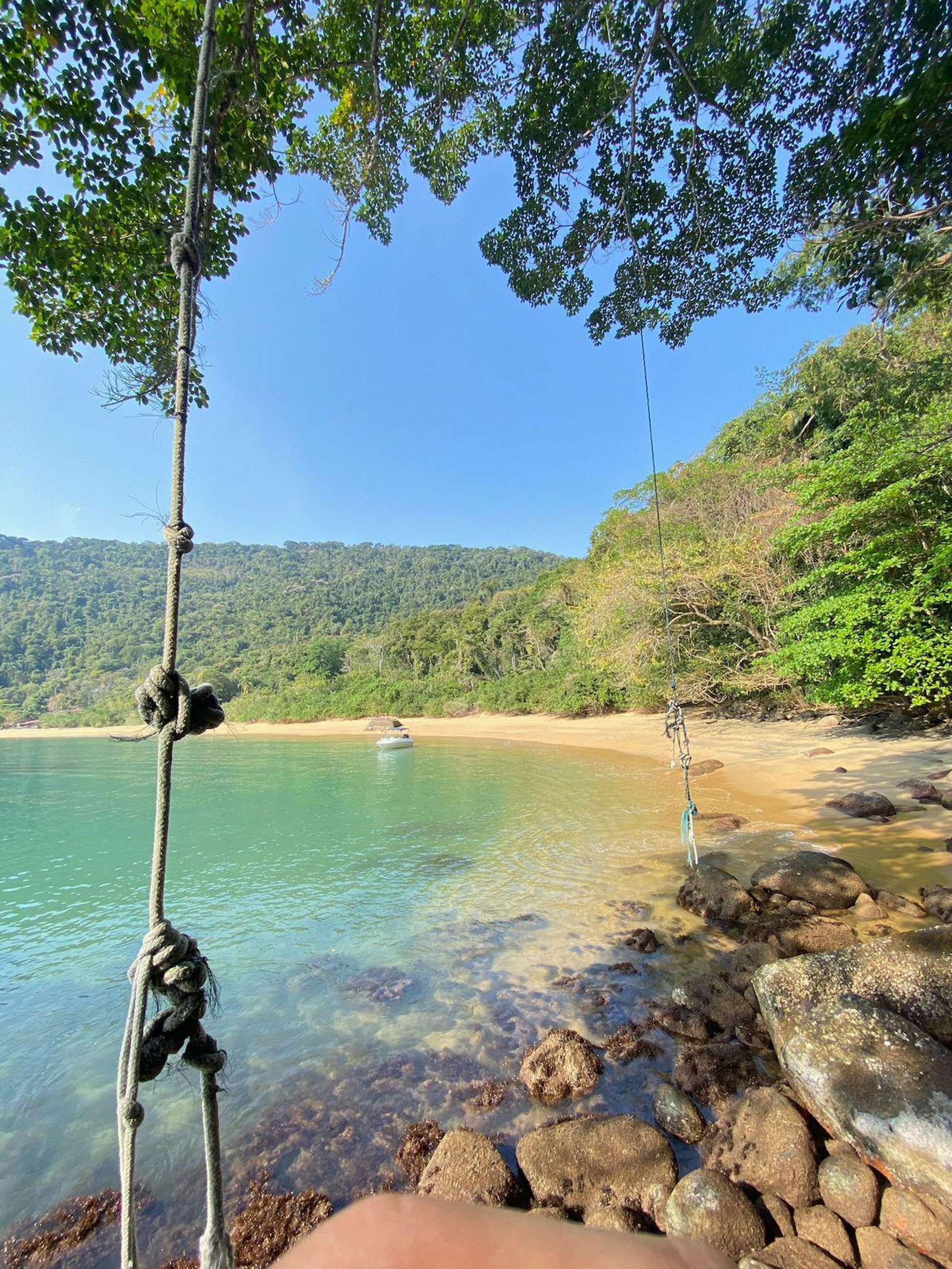 gray computer monitor