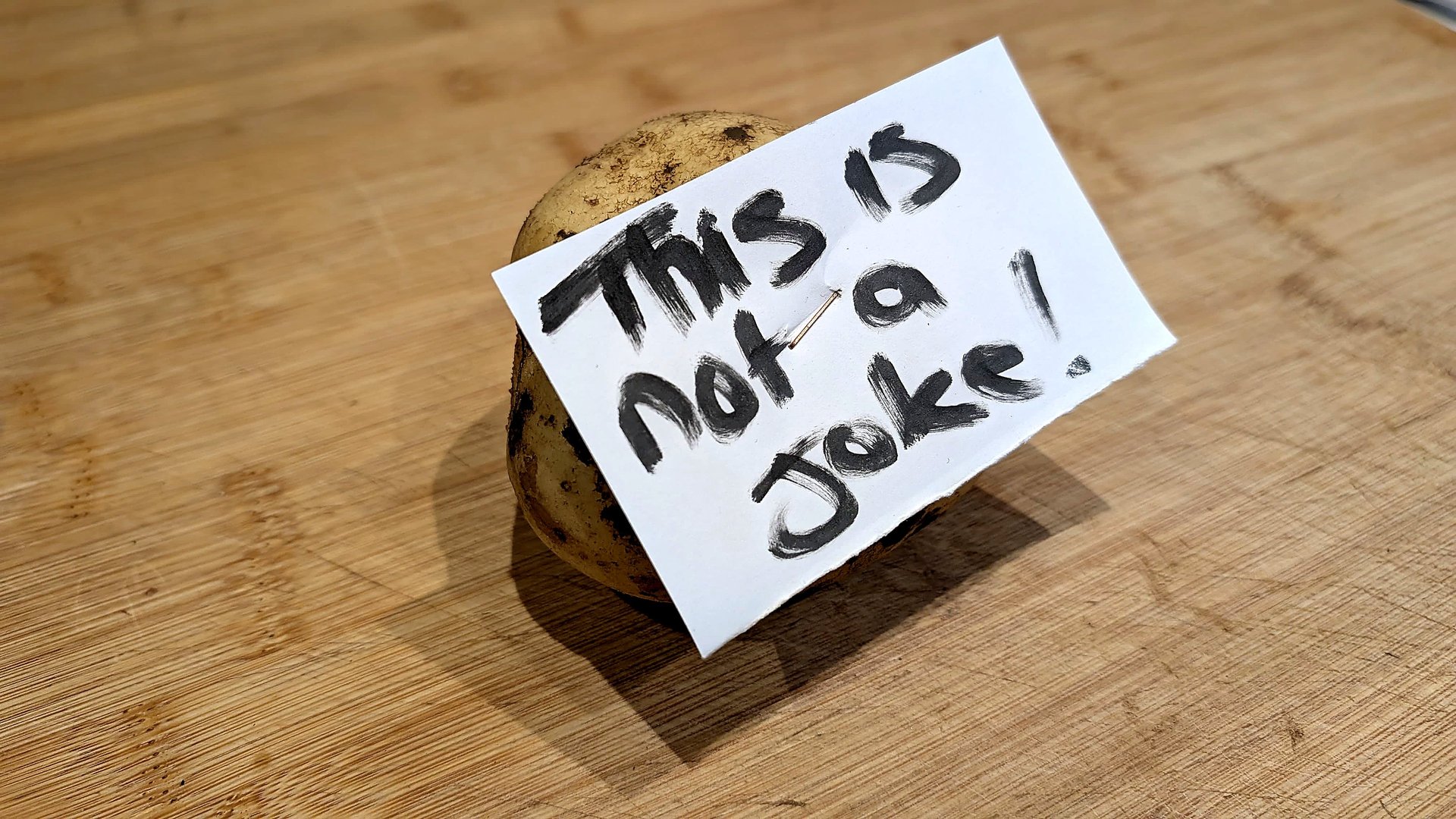 woman holding dried flower