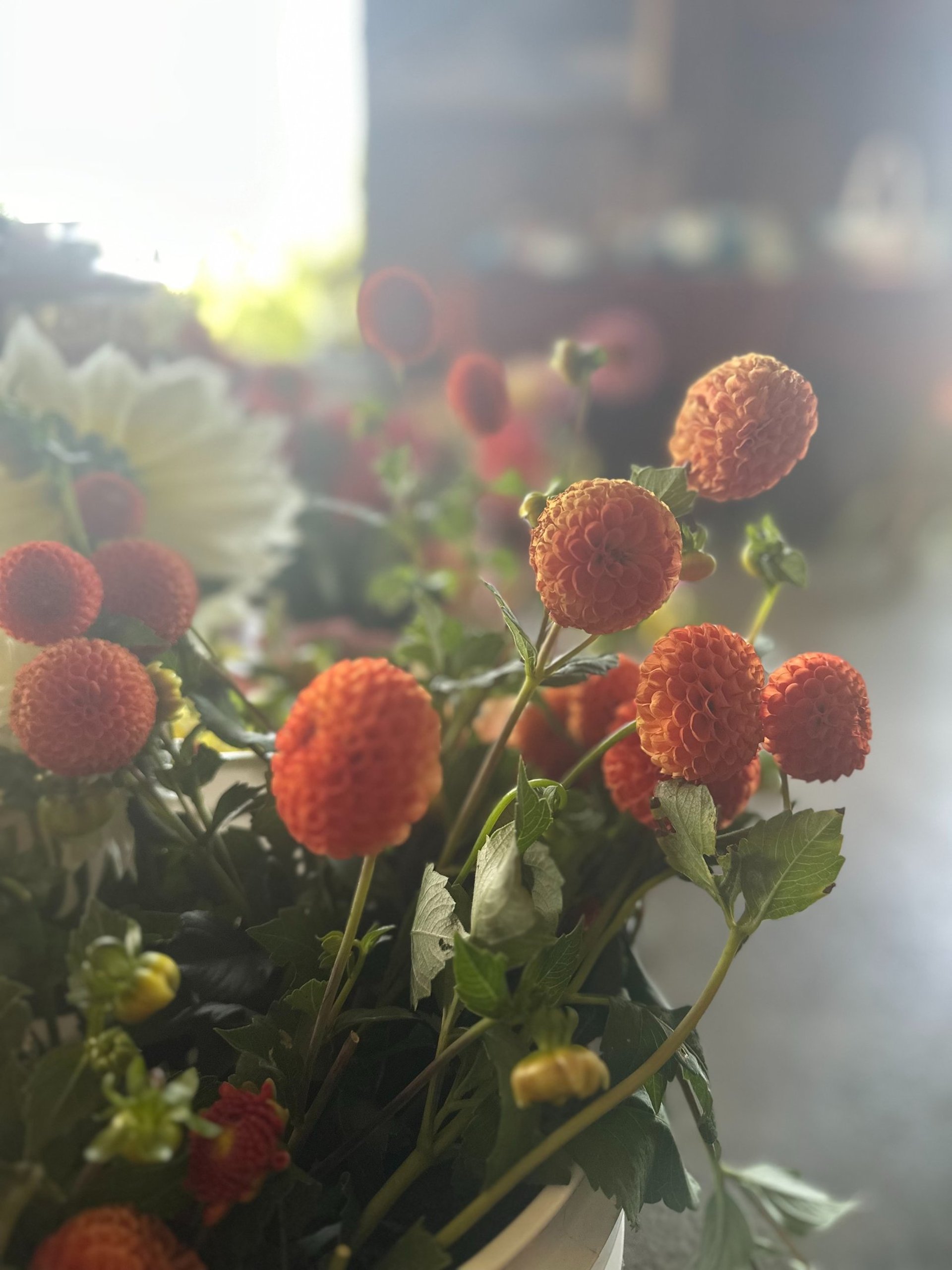 black and white bed linen