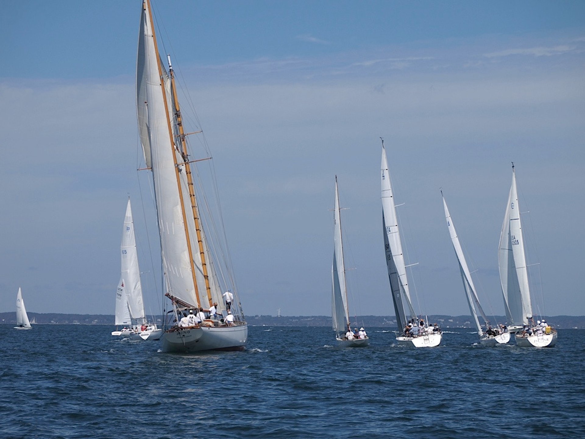 black and white bed linen