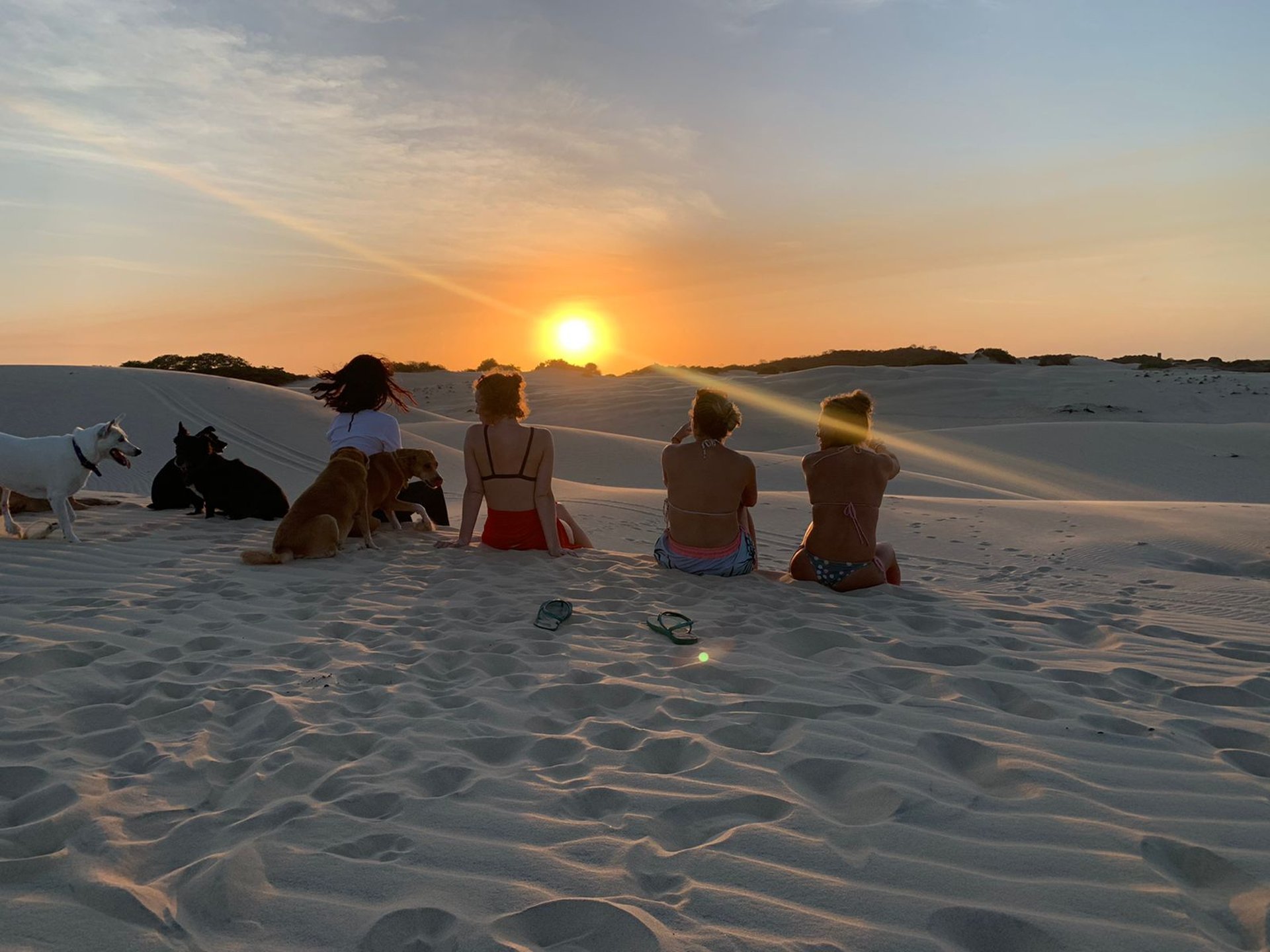 an abstract photo of a curved building with a blue sky in the background