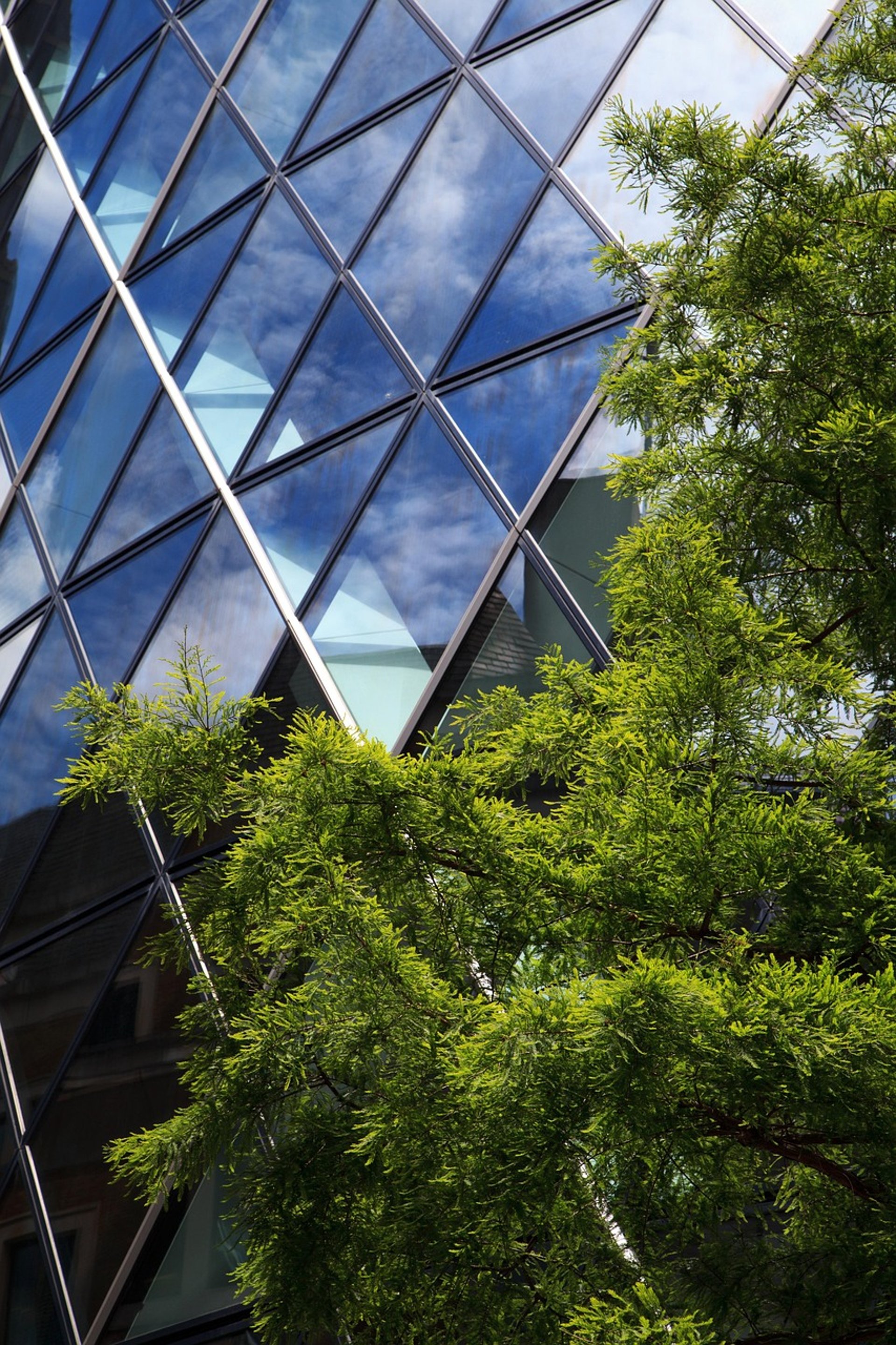 an abstract photo of a curved building with a blue sky in the background