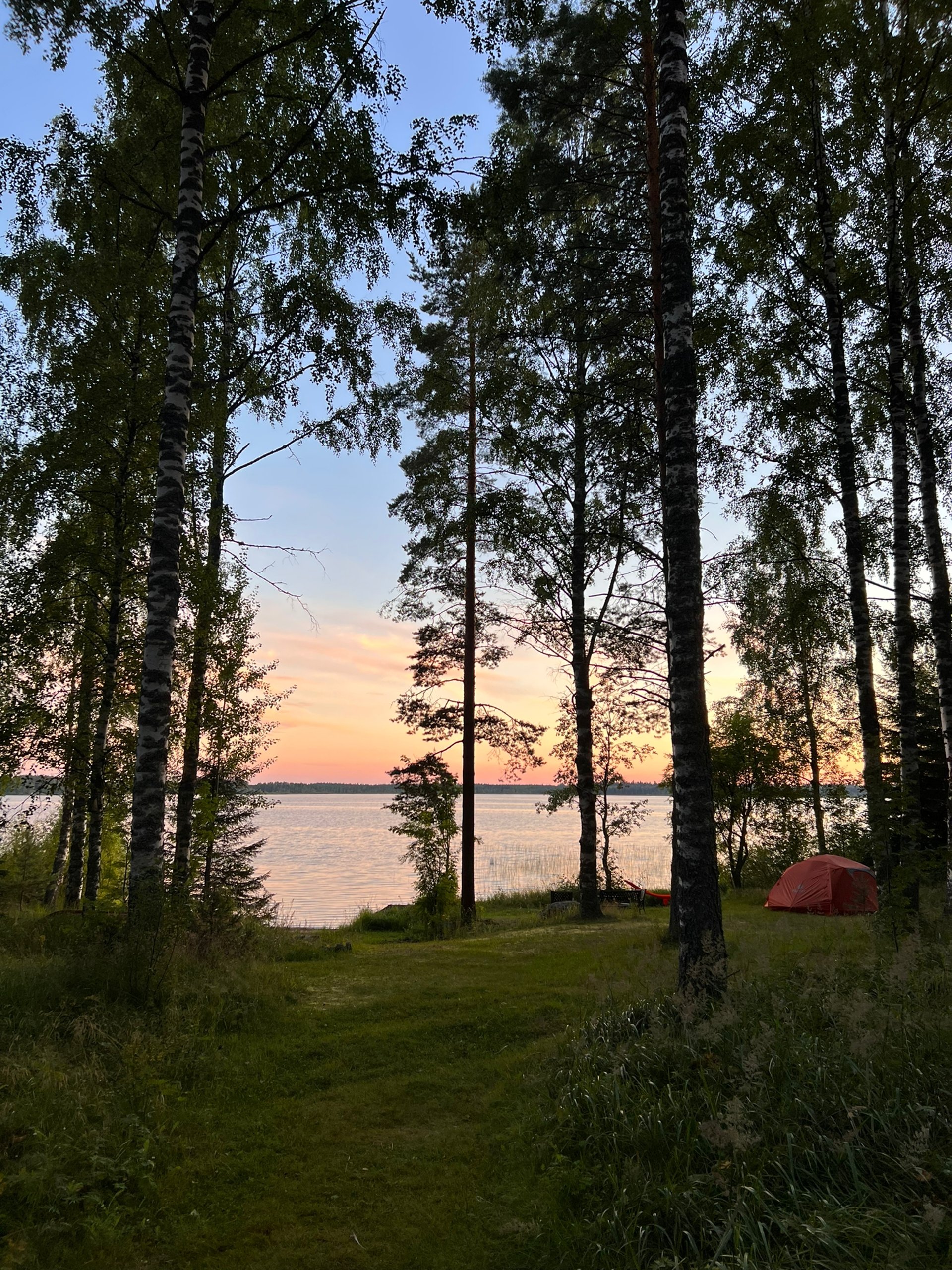 A large body of water surrounded by trees