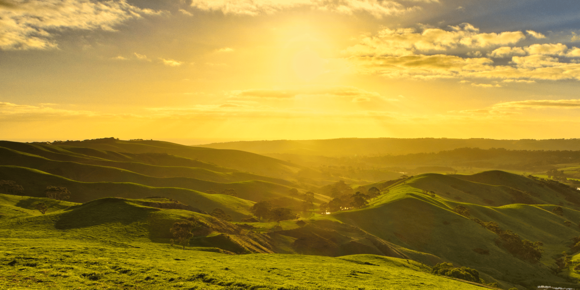 black and brown leather padded tub sofa
