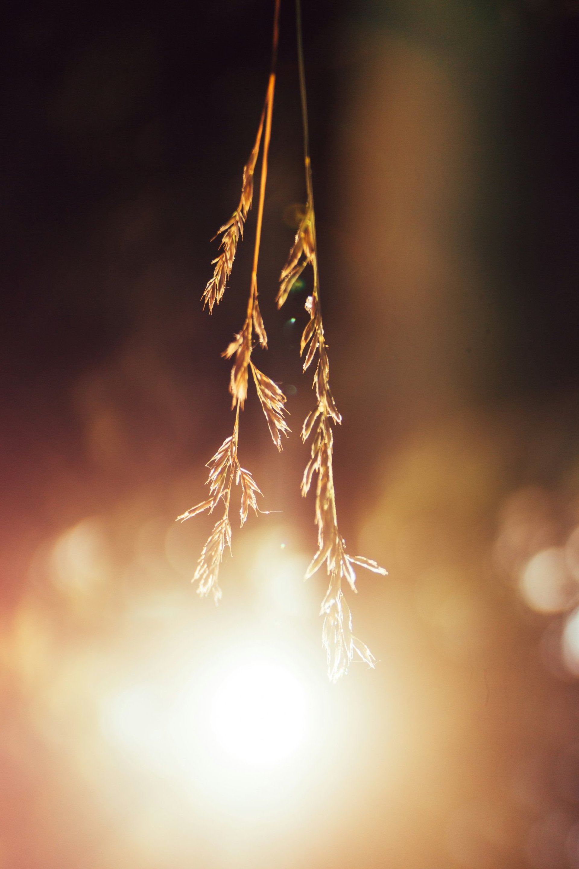 black nikon dslr camera on white printer paper