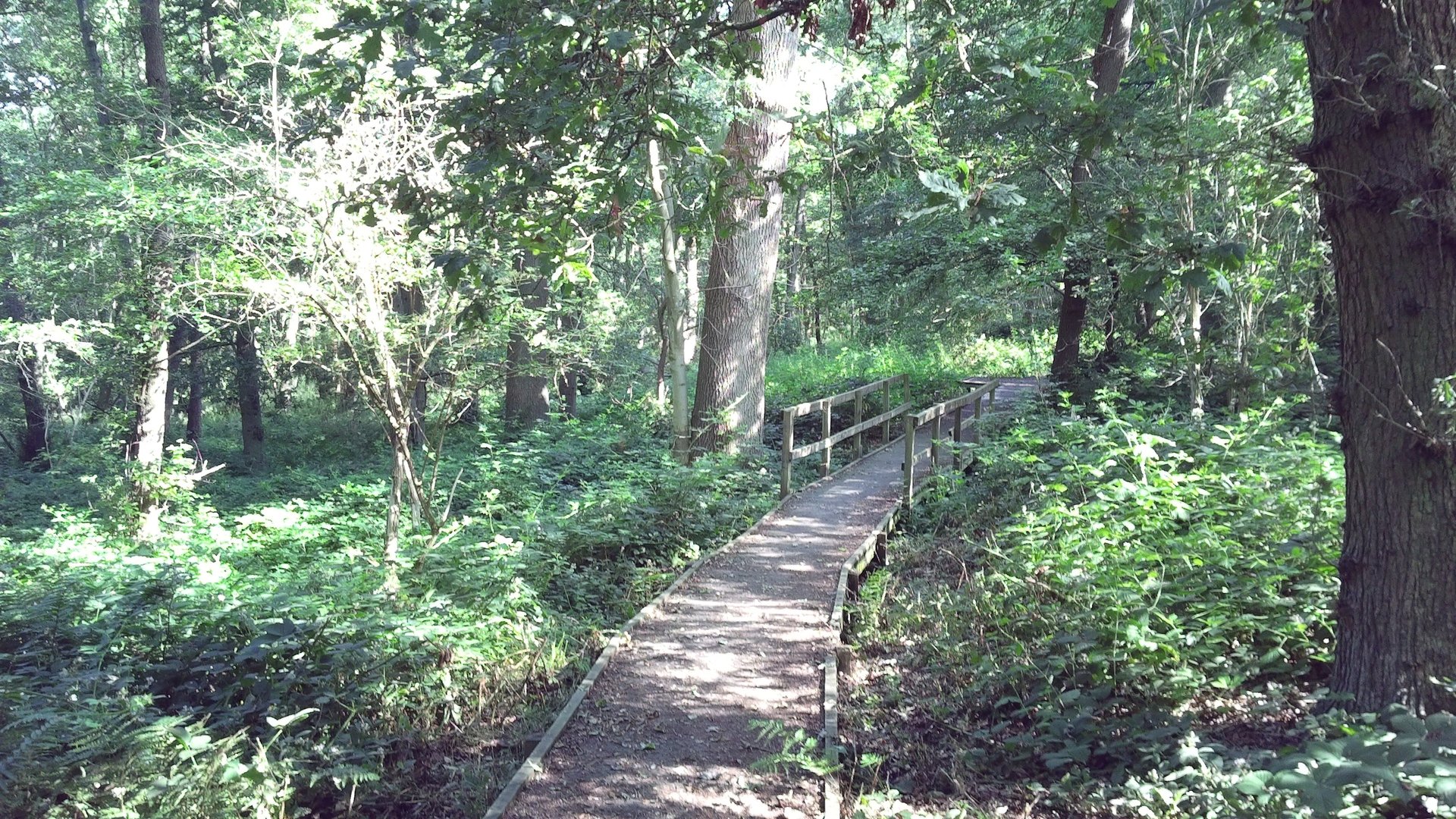 brown concrete bridge over river