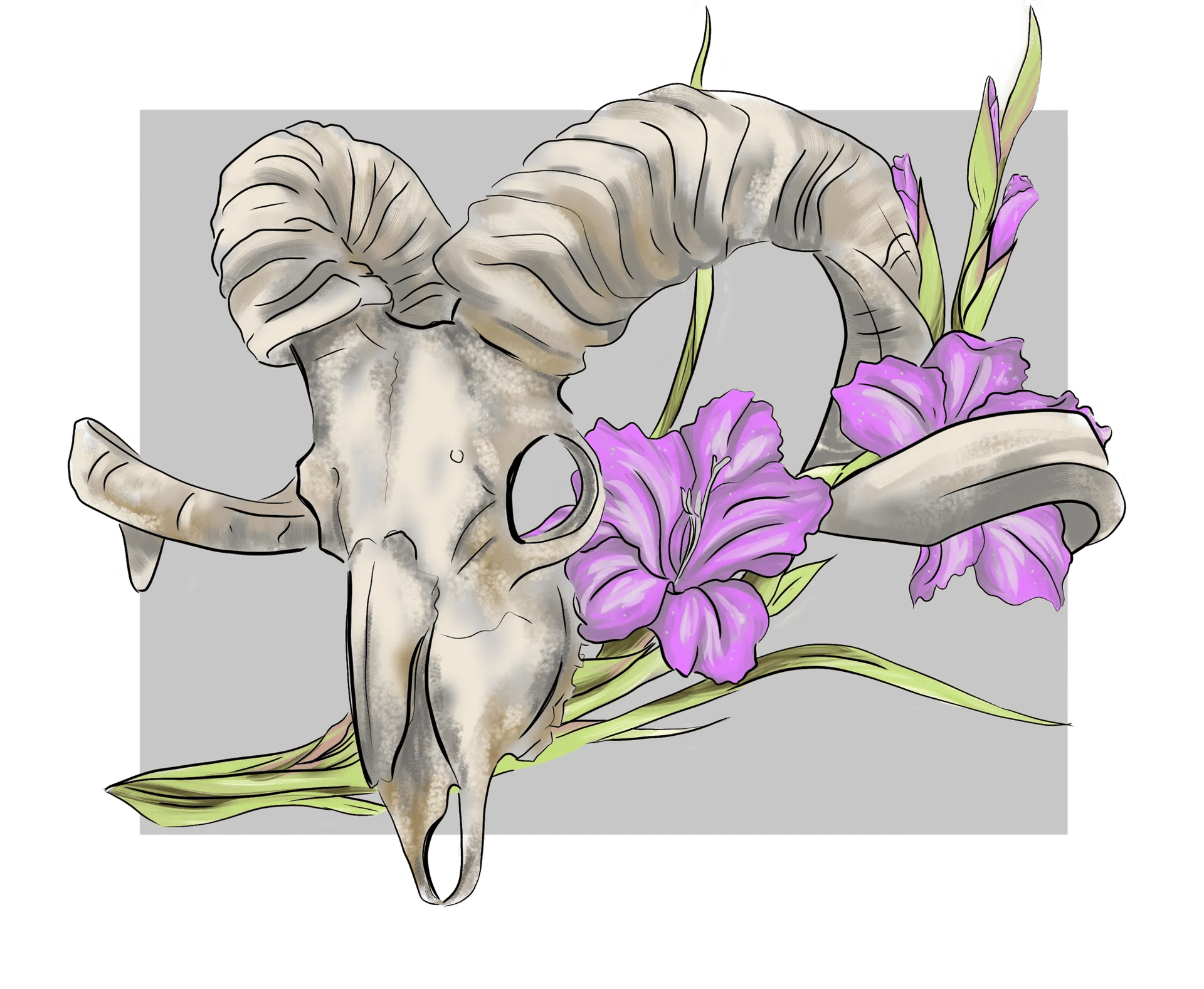 woman holding dried flower