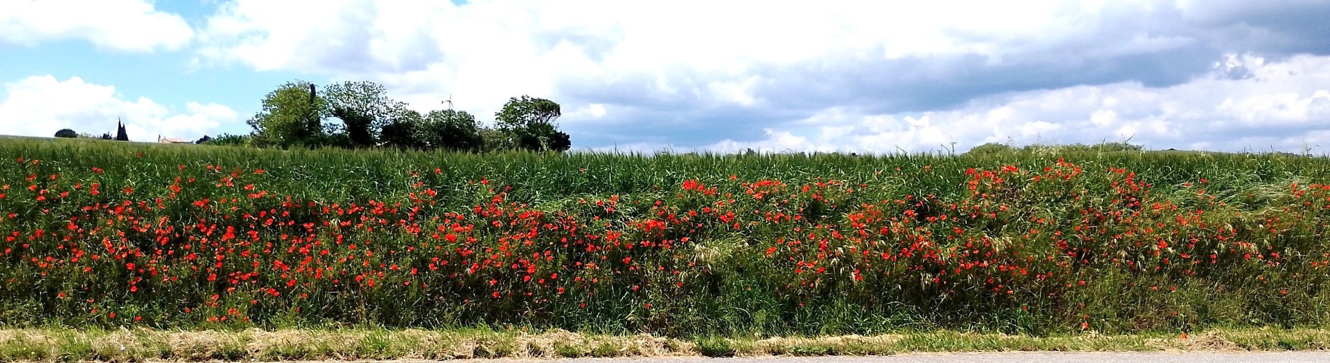 black and brown leather padded tub sofa