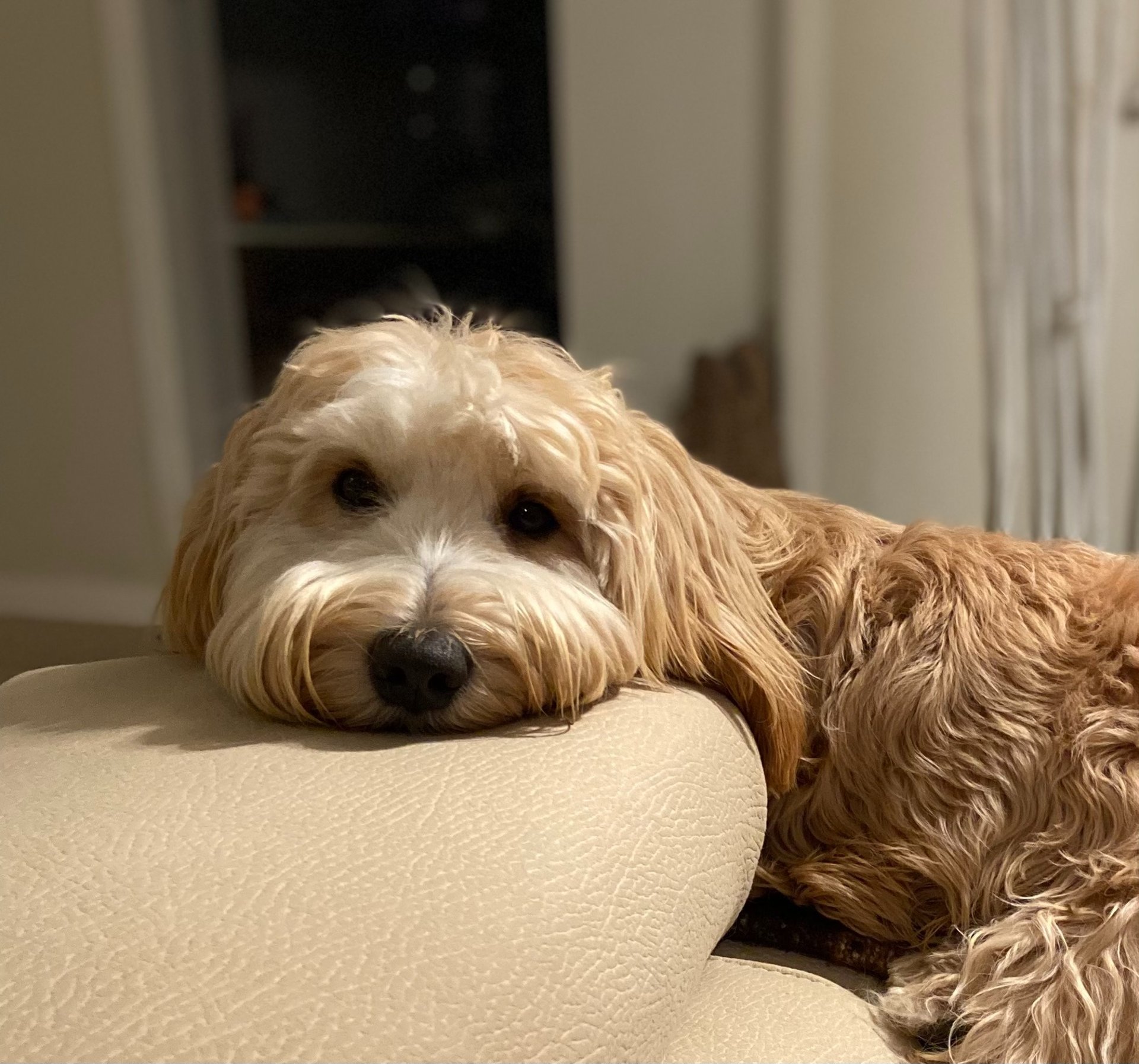 black and white bed linen