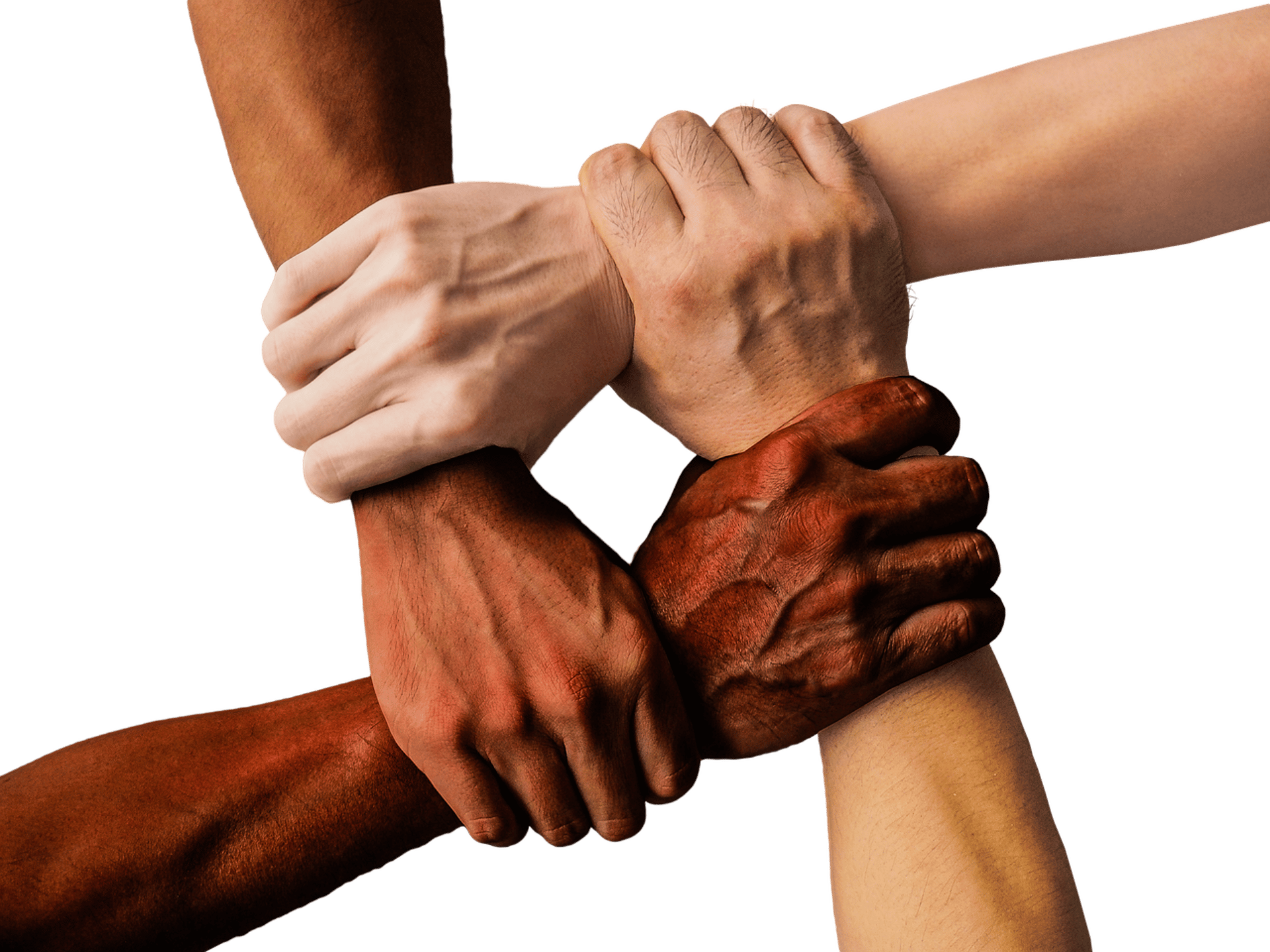 person in black long sleeve shirt holding persons hand