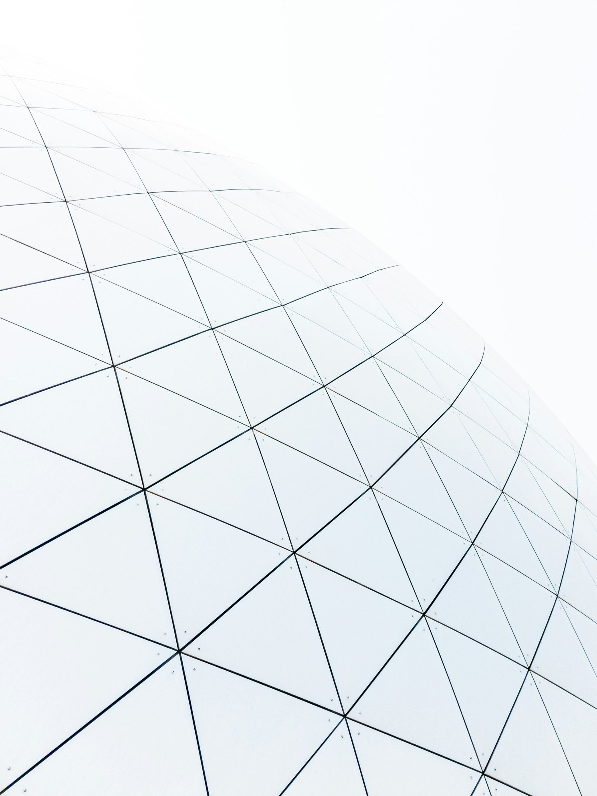 white and black digital wallpaper