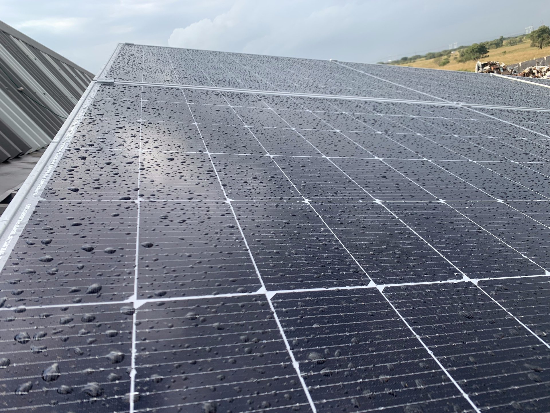 black and brown leather padded tub sofa