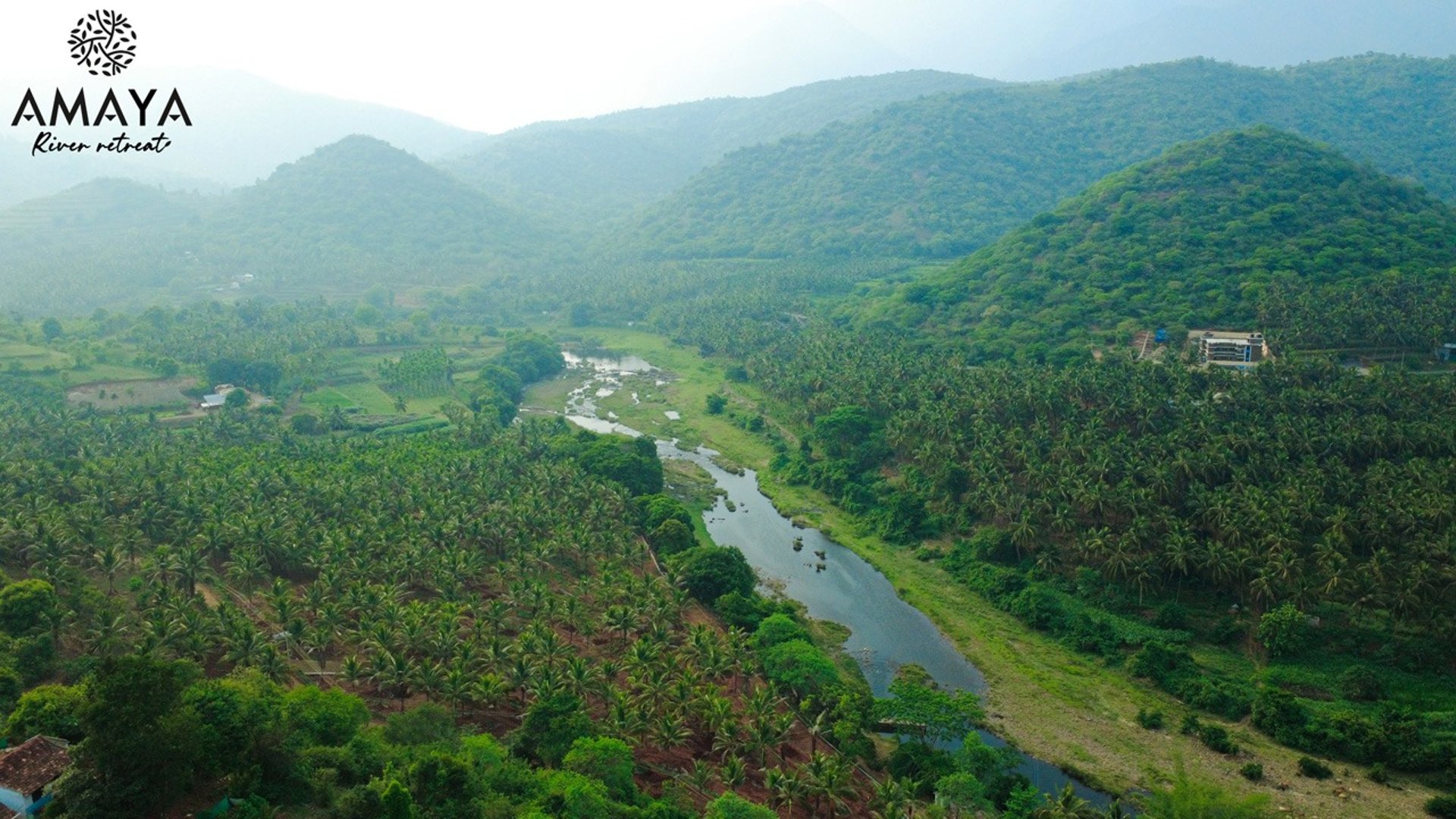 a river running through a lush green forest