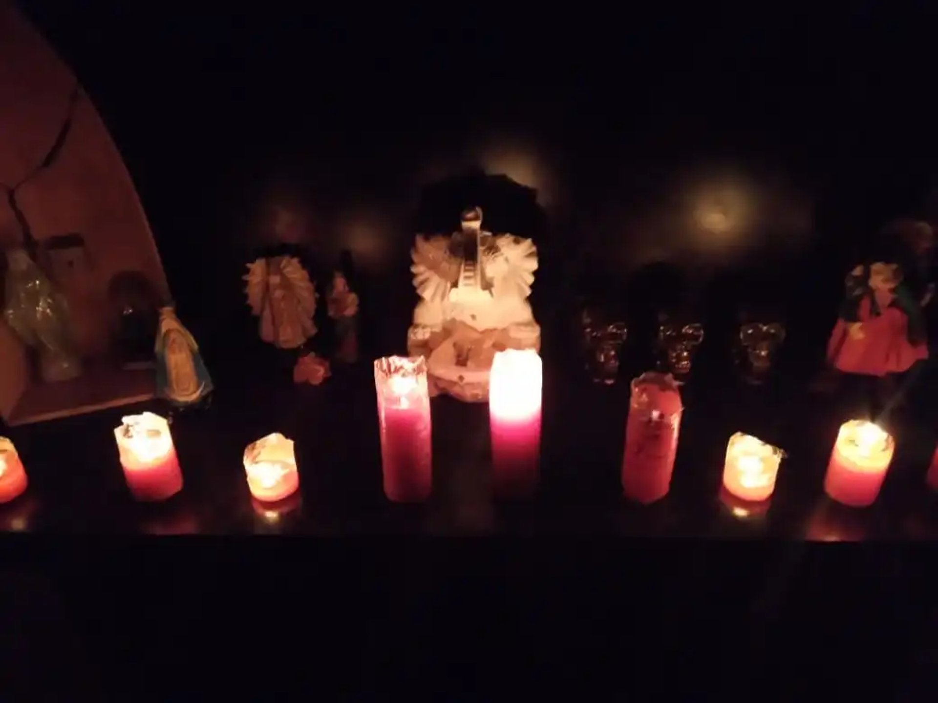 a black and white photo of palm trees