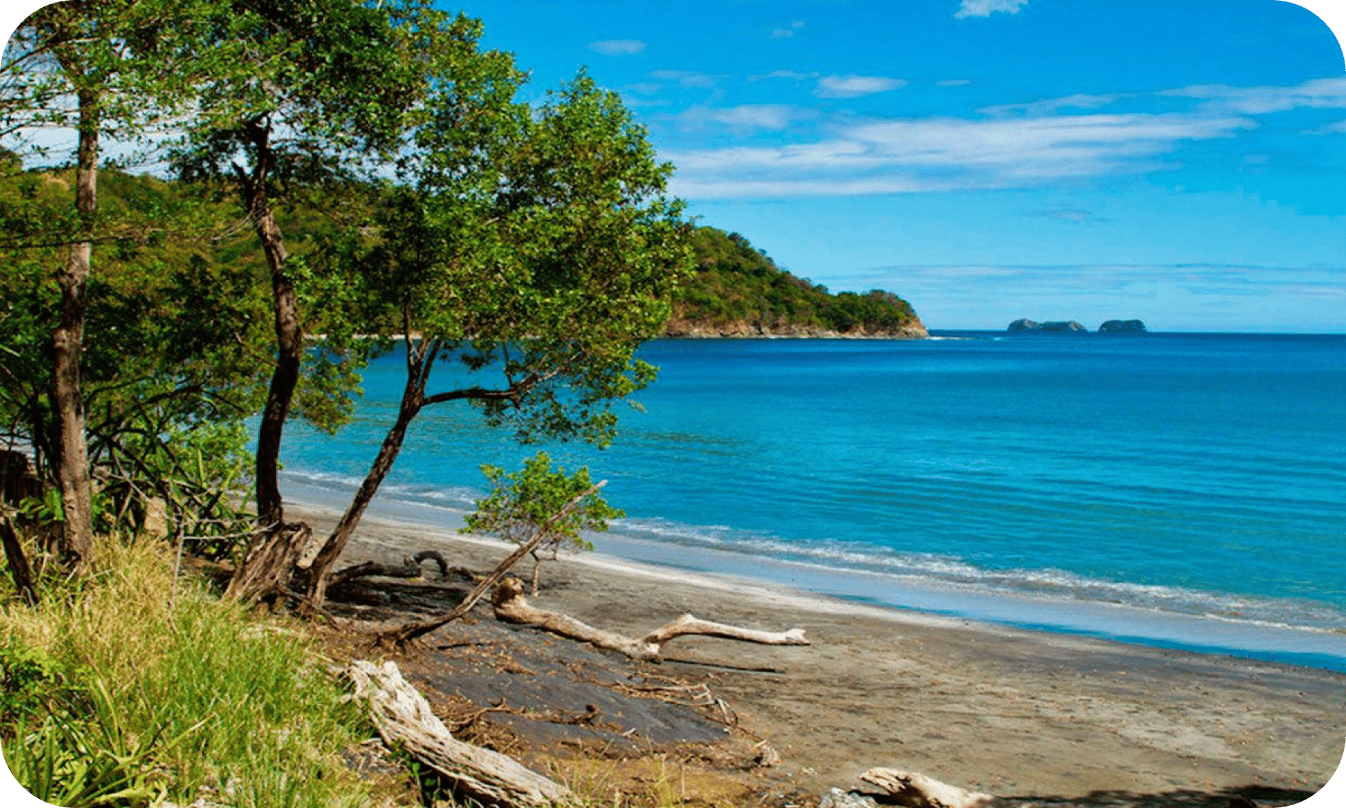 las catalinas playa danta