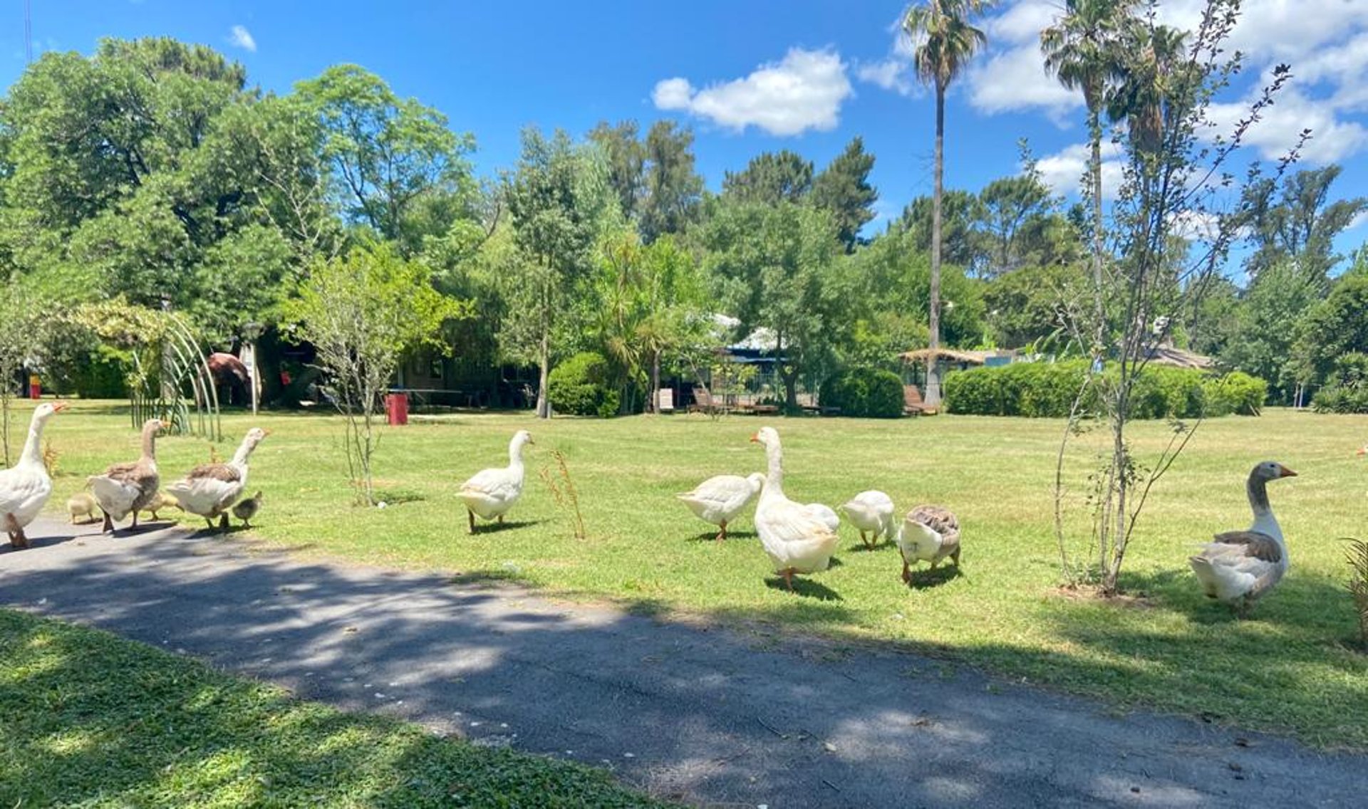 an abstract photo of a curved building with a blue sky in the background