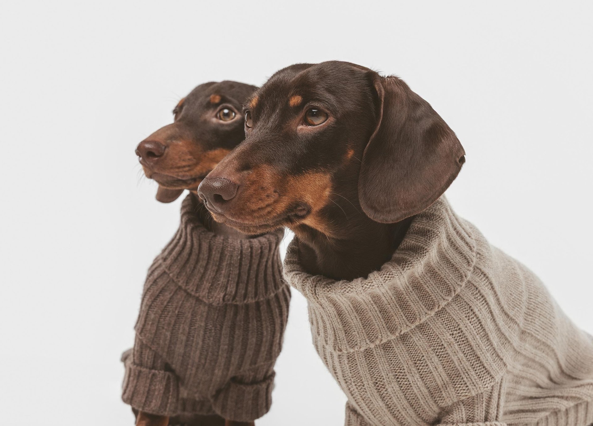 an abstract photo of a curved building with a blue sky in the background