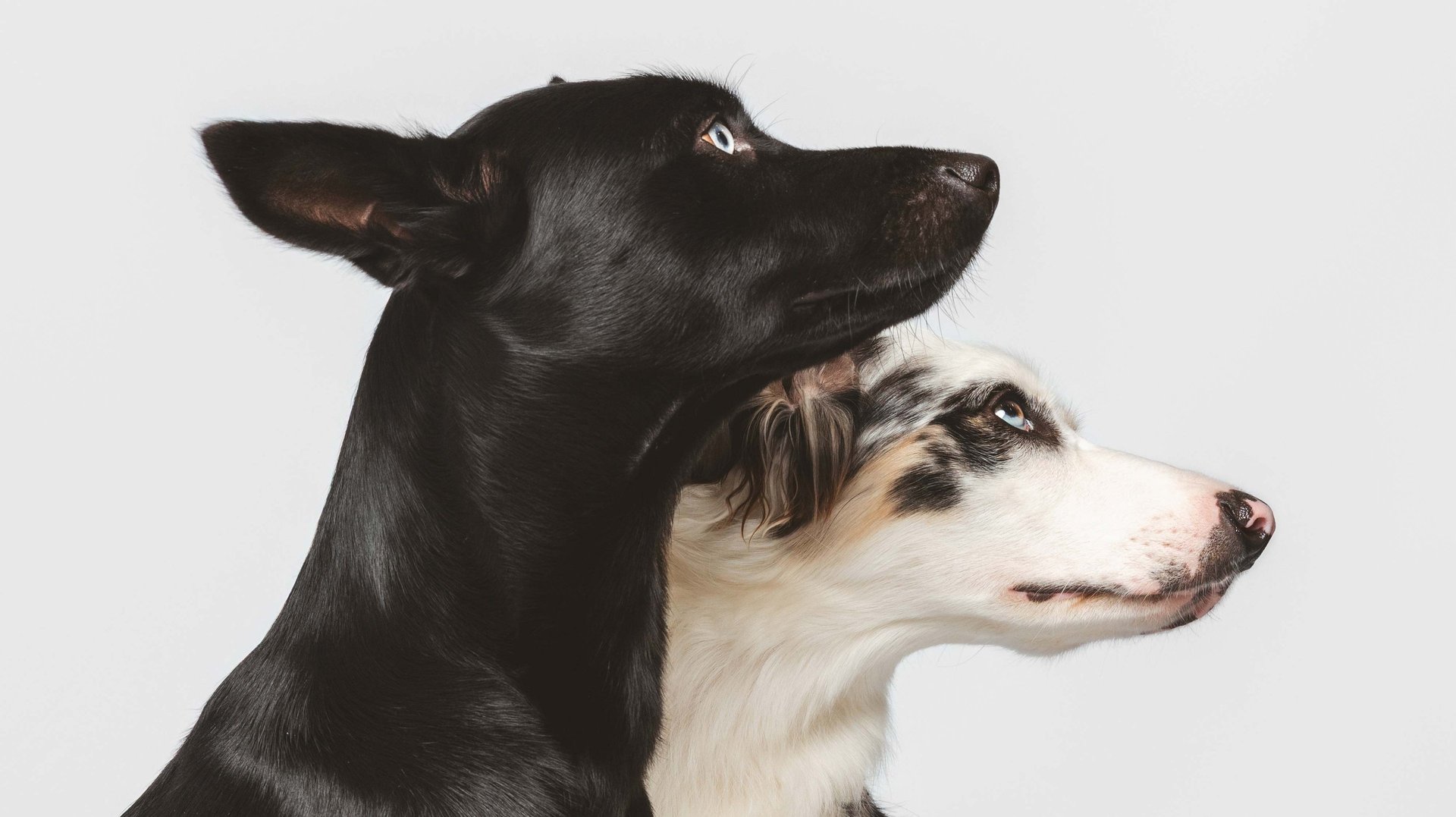 an abstract photo of a curved building with a blue sky in the background