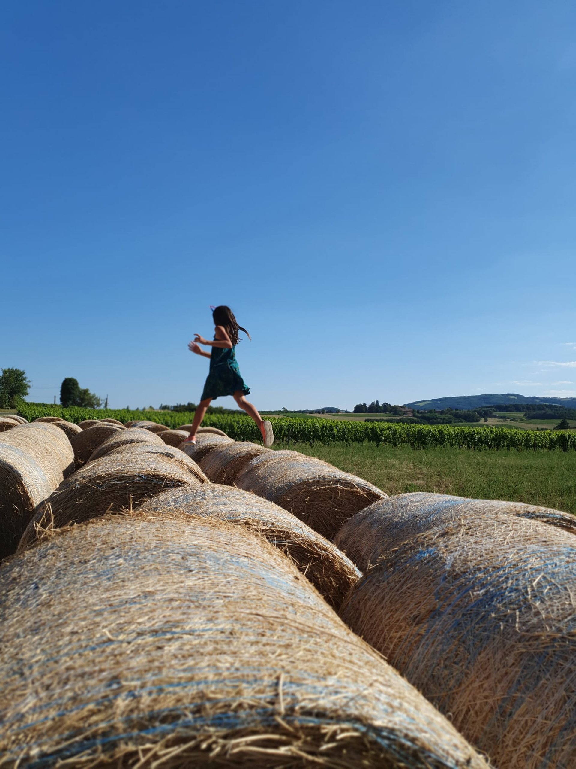 black blue and yellow textile