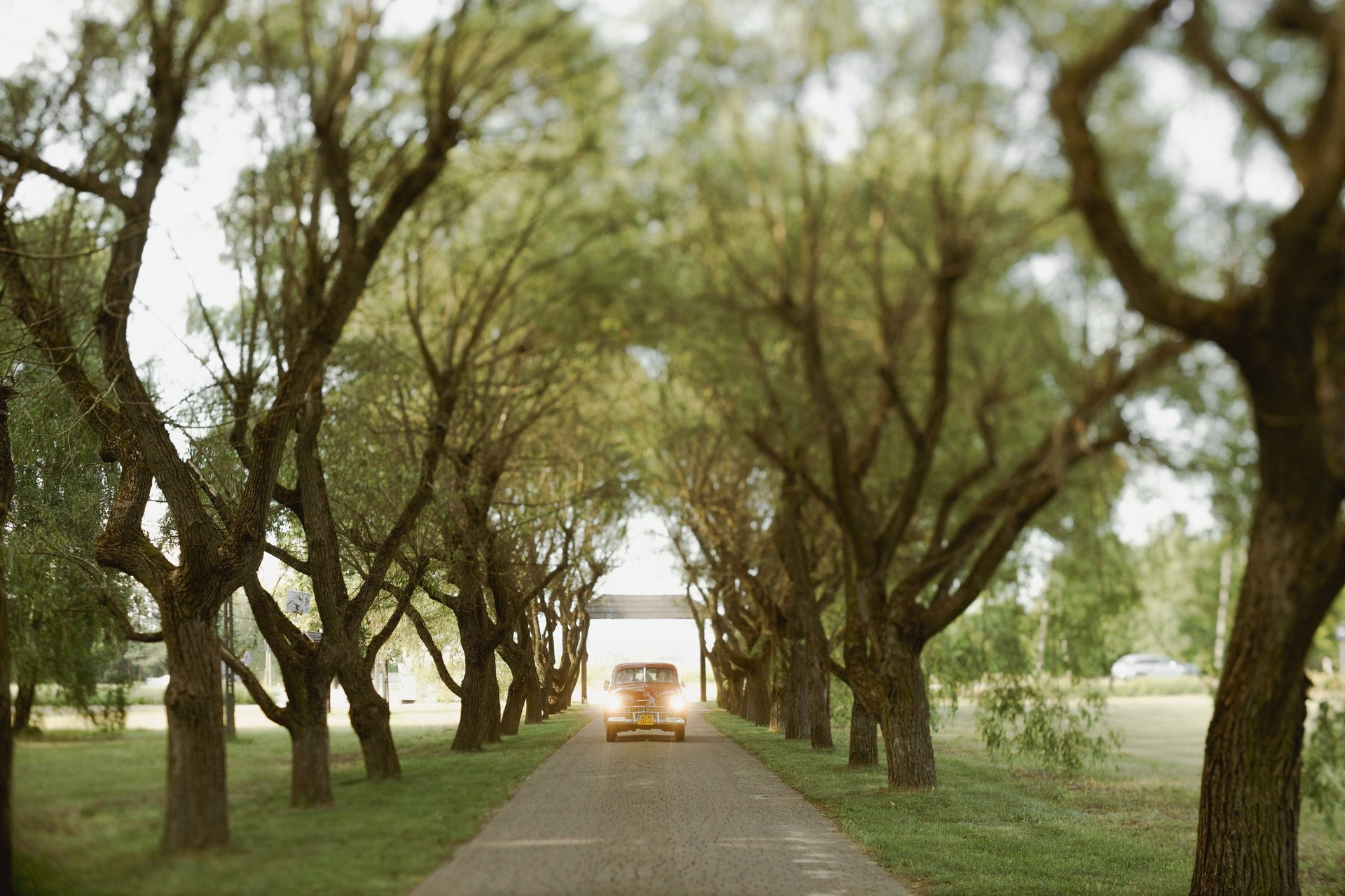 an abstract photo of a curved building with a blue sky in the background